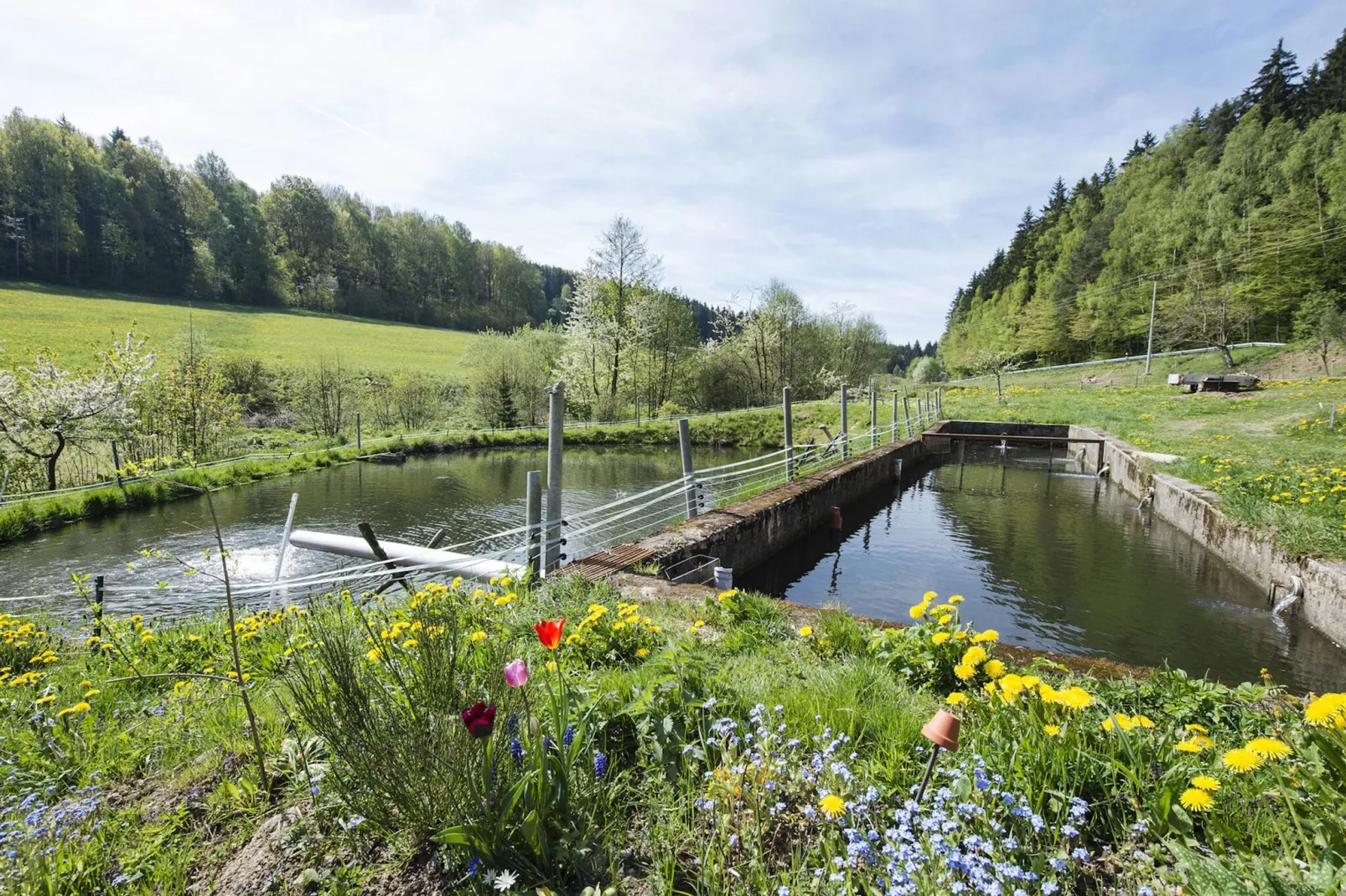 Weiherblasch I-Uitzicht zomer