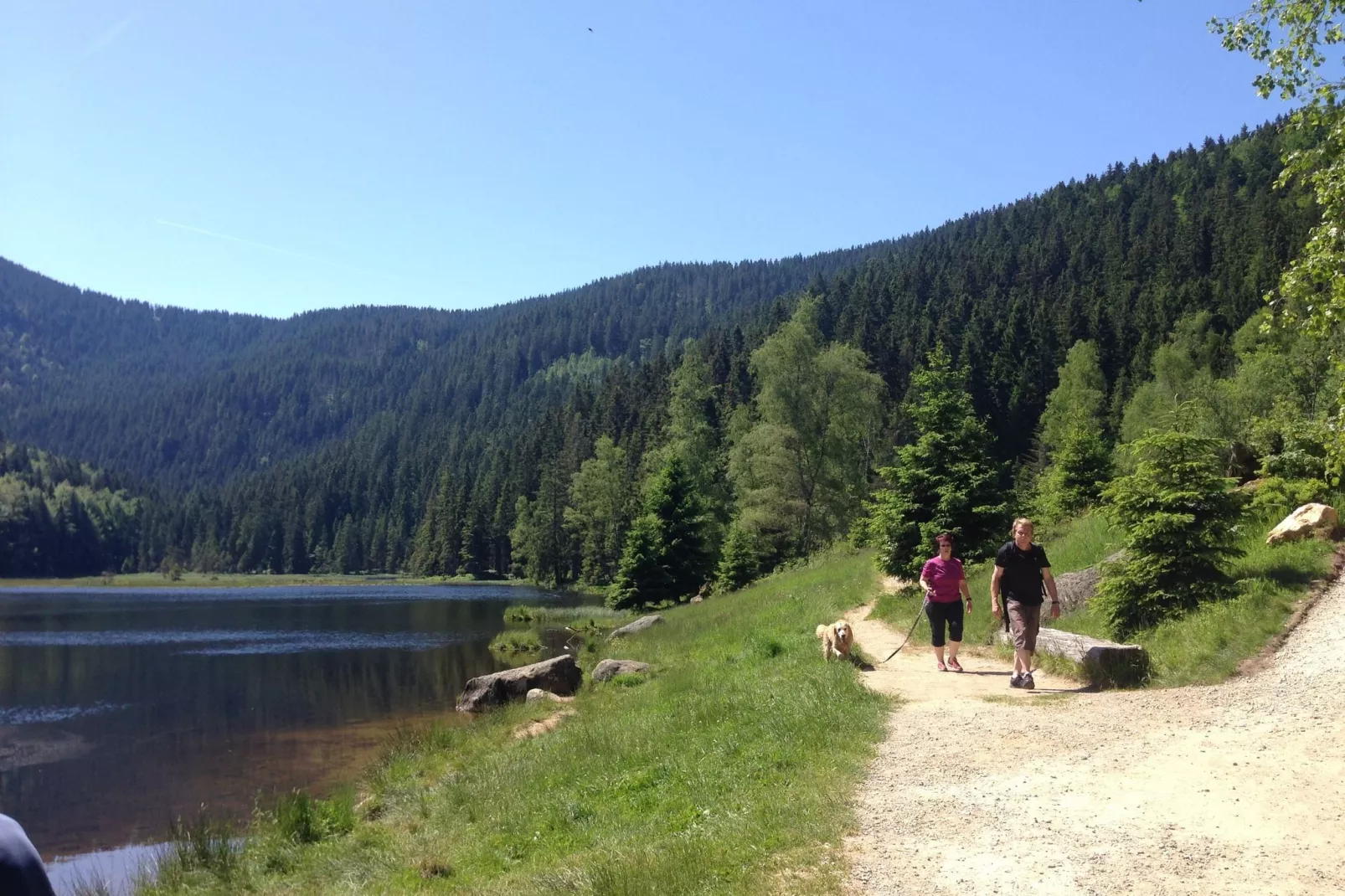 Landhaus Simon-Gebieden zomer 20km