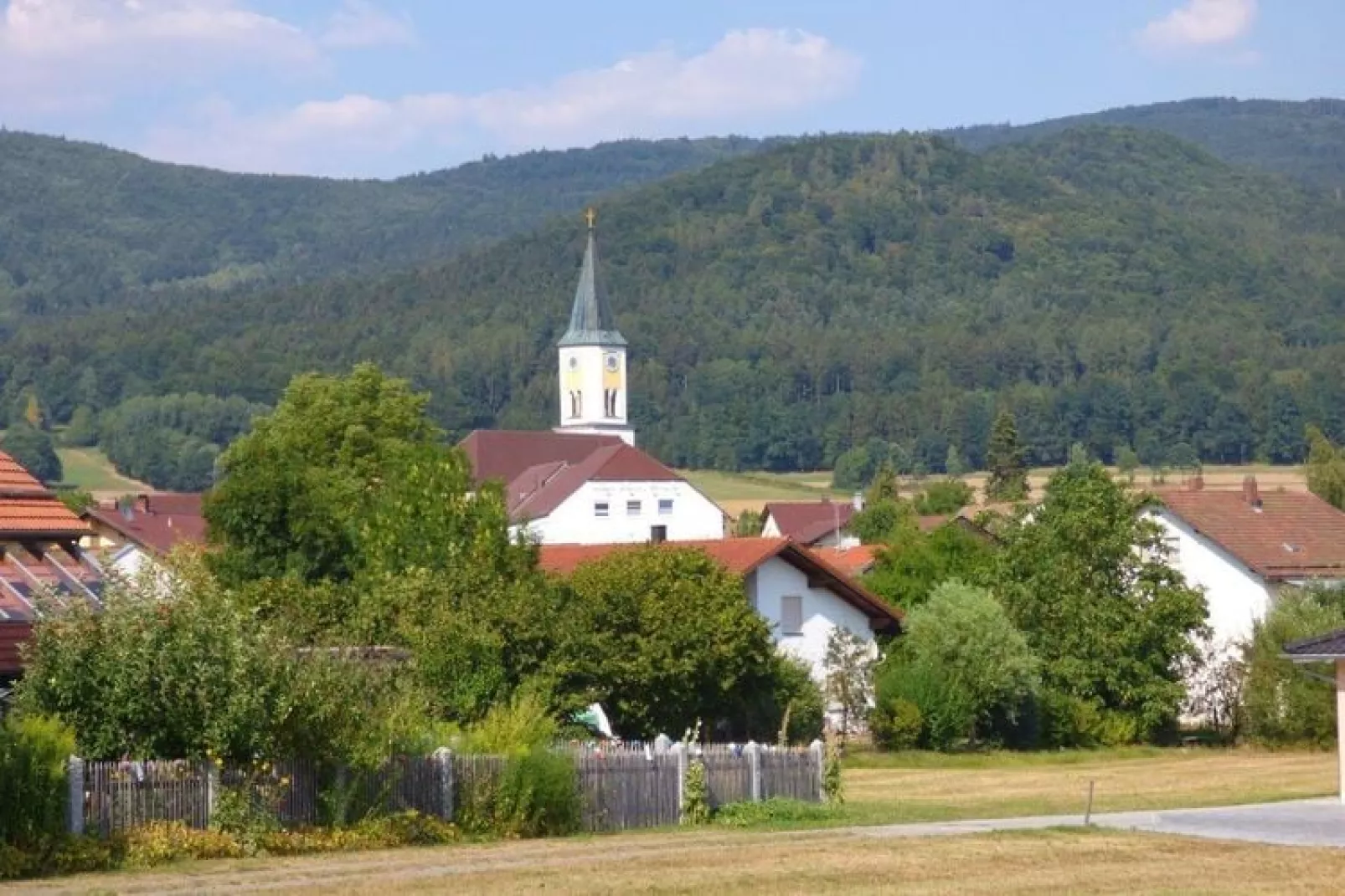 Bayerischer Wald-Gebieden zomer 1km