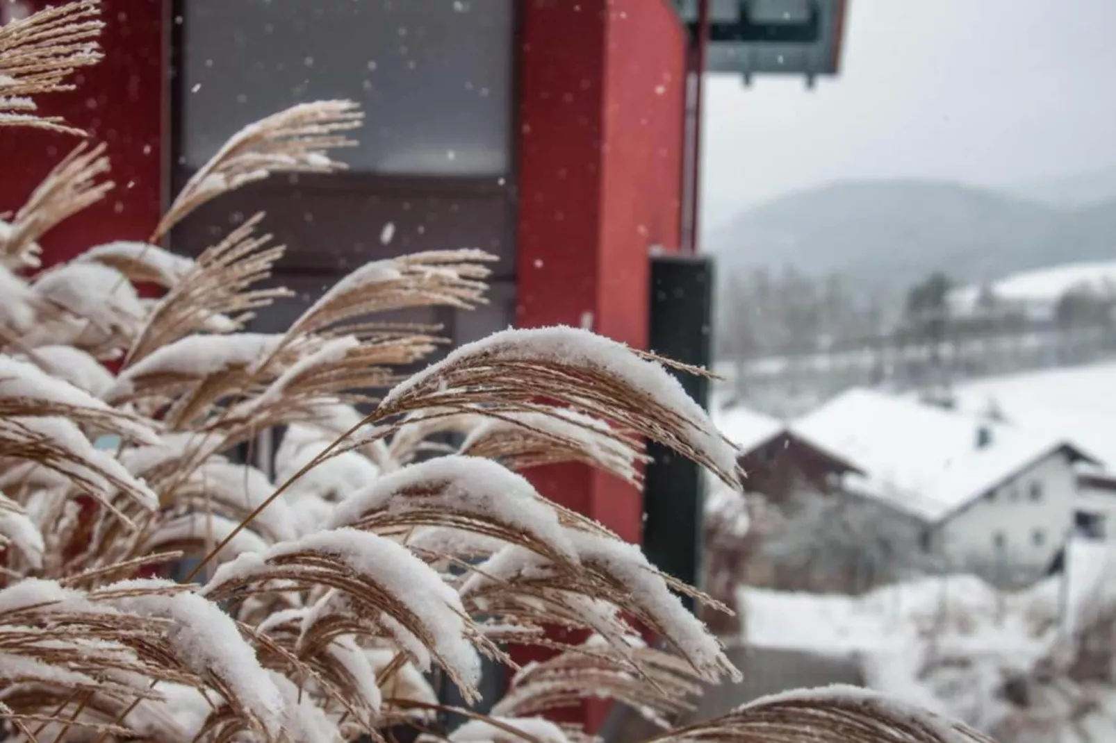 Vakantiehuis met sauna en whirlpool-Tuin winter