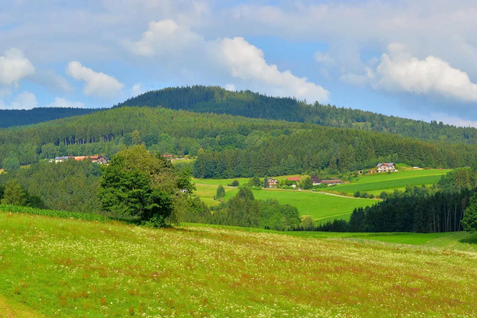 Im Zellertal-Uitzicht zomer