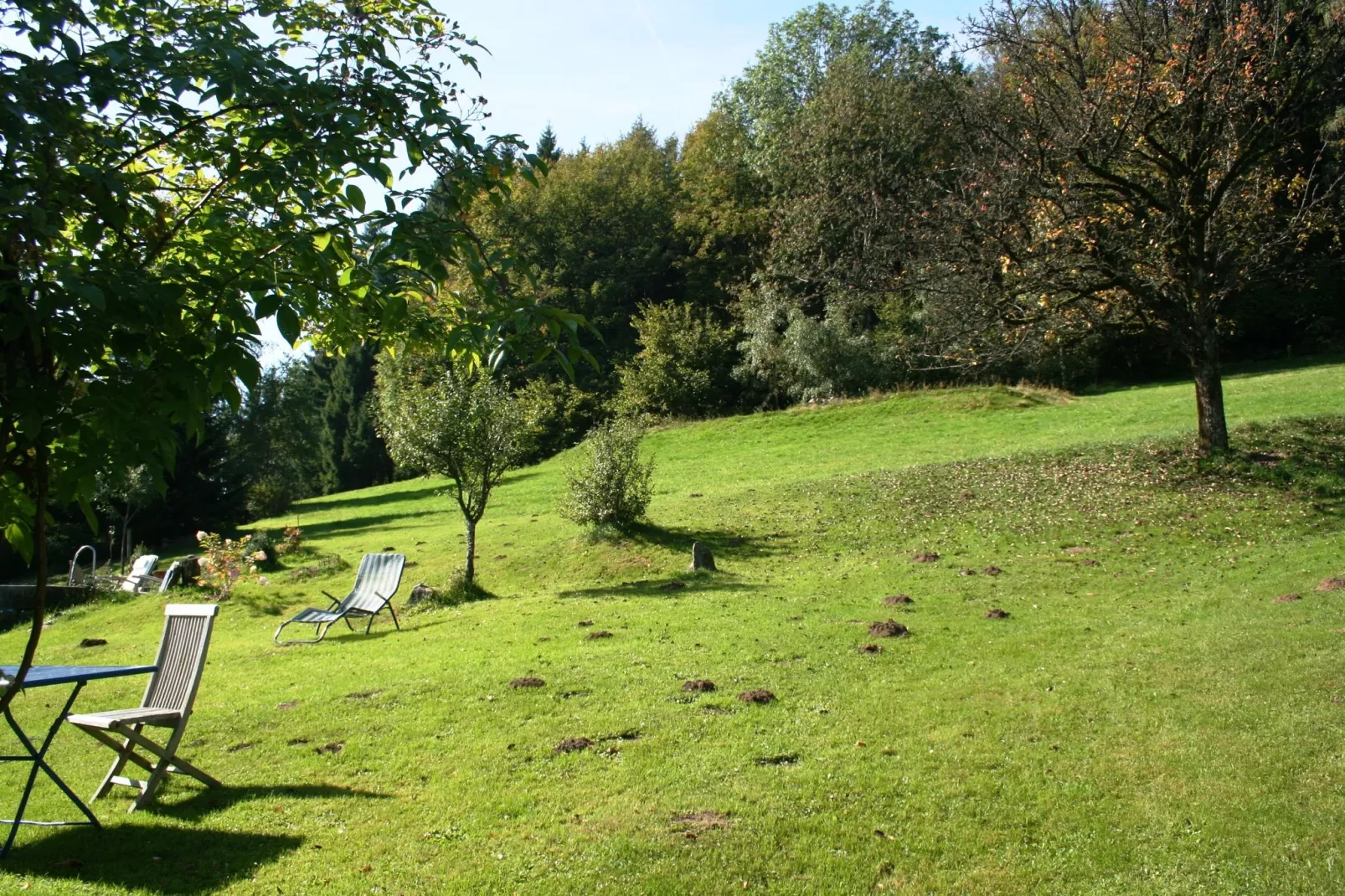 Ferienhaus Weitblick-Tuinen zomer