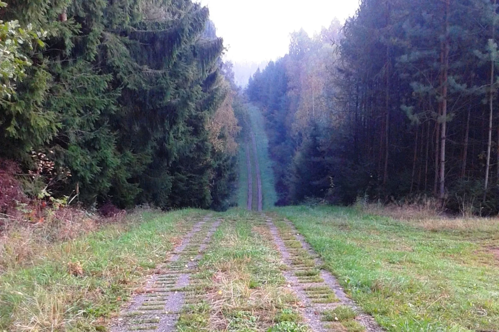 Burggrub-Gebieden zomer 1km