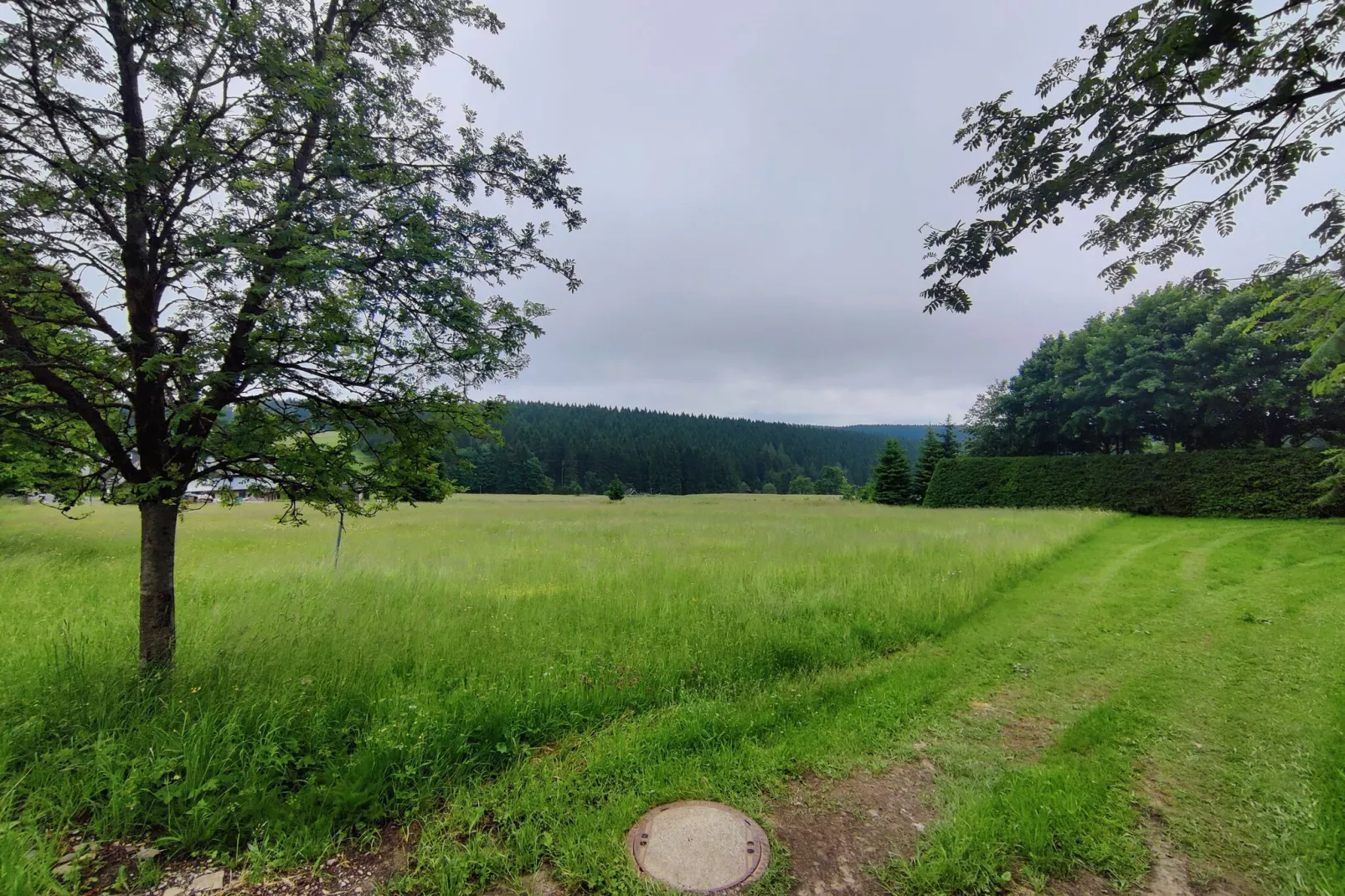 Blessberg-Gebieden zomer 5km