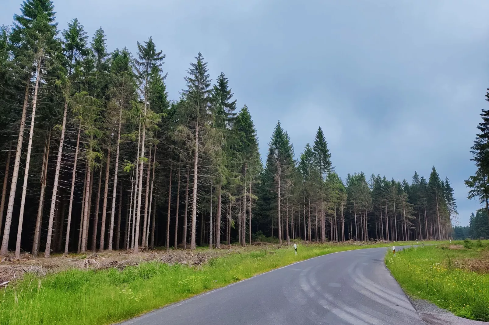 Blessberg-Gebieden zomer 5km