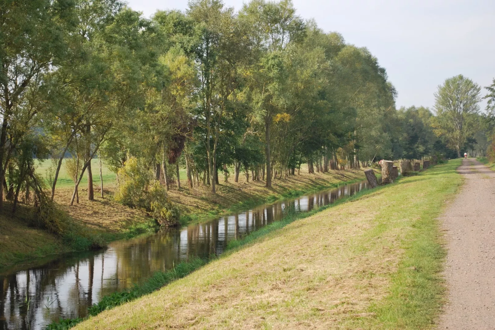 Alte Wassermühle-Gebieden zomer 5km