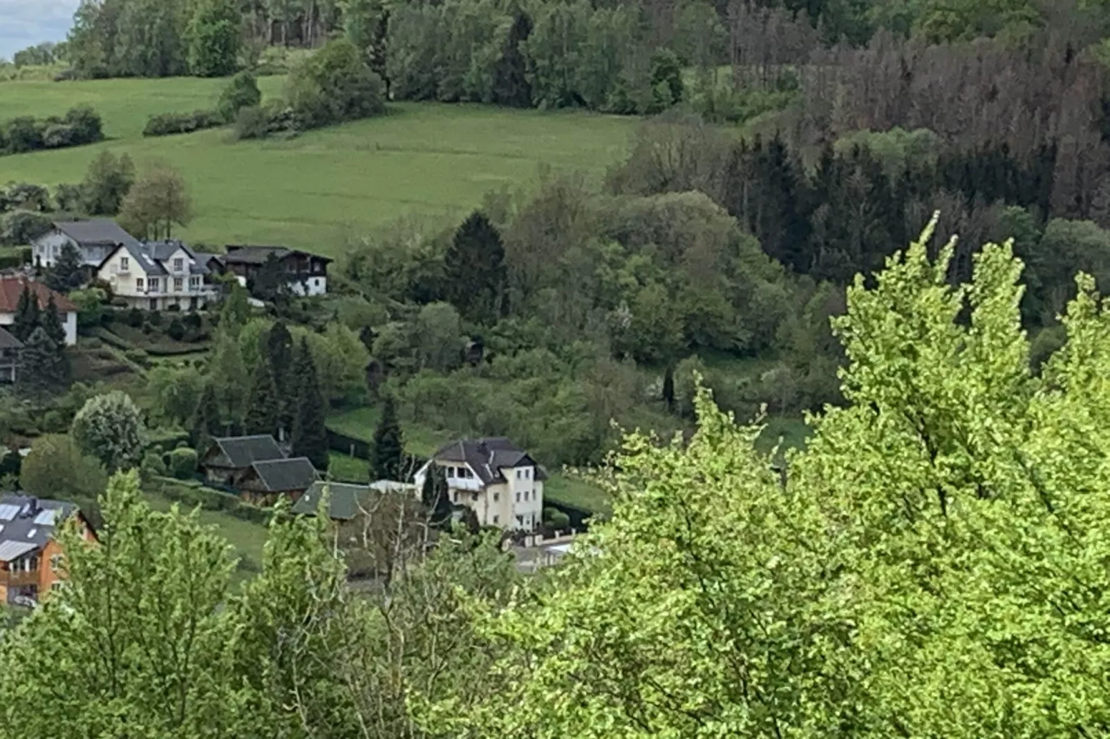 Apartment im Fuchsbau, Bad Sachsa-Fewo Le Petit 4 Pers.-Uitzicht zomer