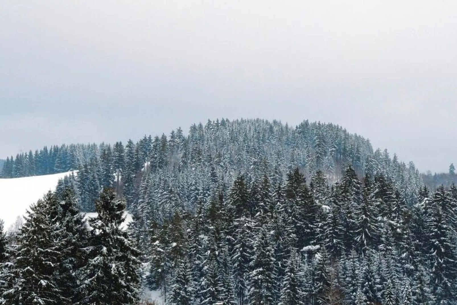 Hirschblick/Wohnung 6-Uitzicht winter