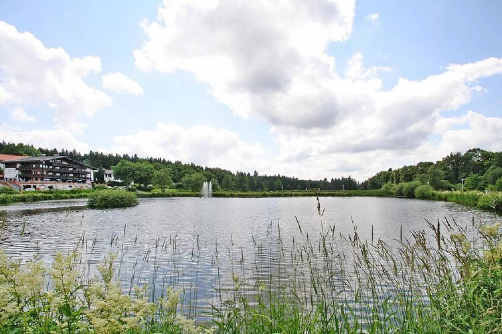 Fewo Sandra Nr 24-Gebieden zomer 1km