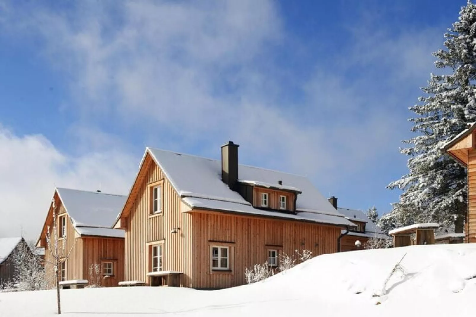 Premium Lodge Plus best Price 4 Erw 2 Kinder-Exterieur winter