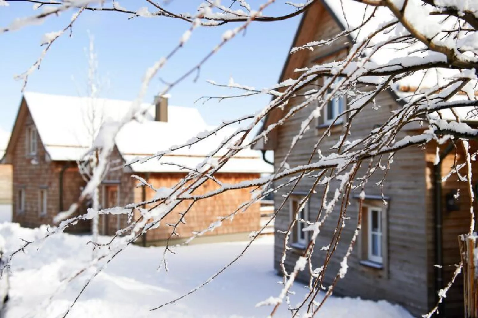 Ferienhaus Typ Premium Lodge 4 Personen-Exterieur winter