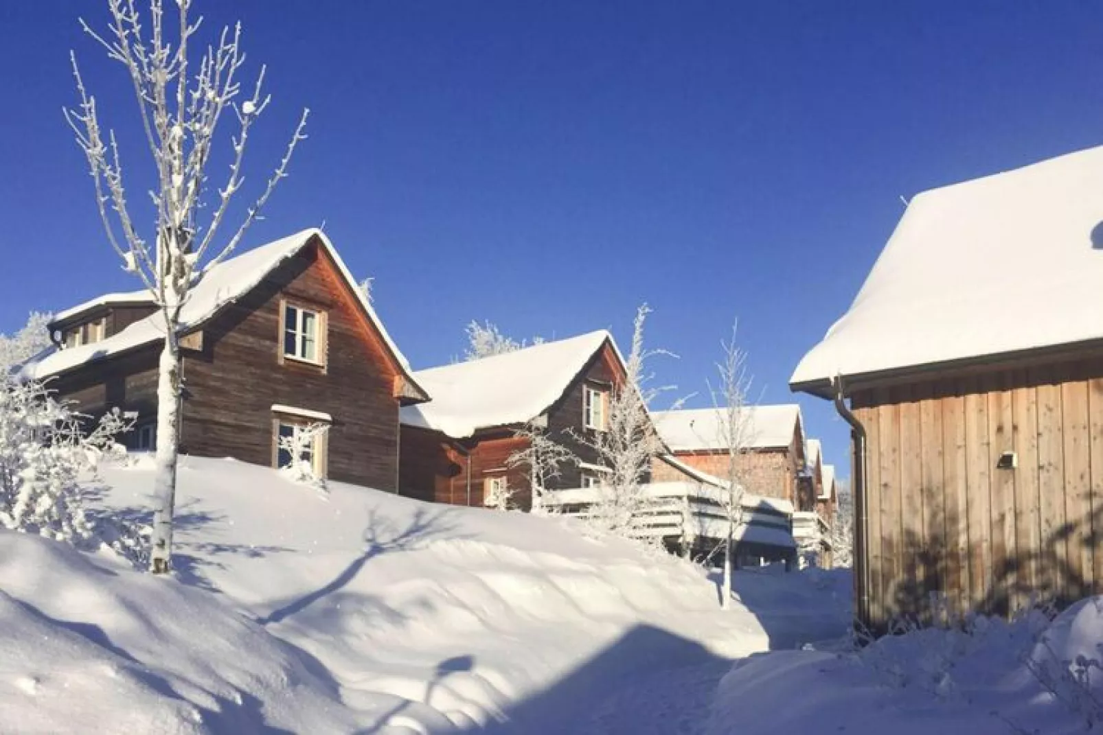 Ferienhaus Typ Premium Lodge 4 Erw 2 Kinder-Exterieur winter