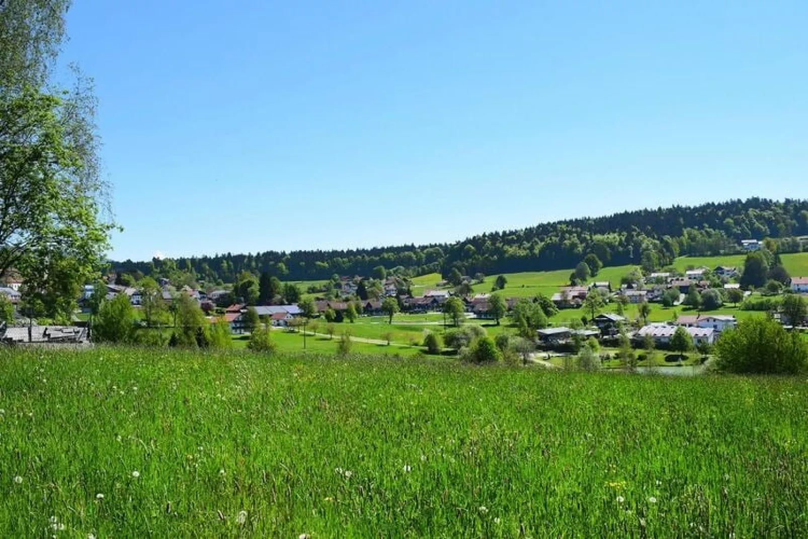 Holiday resort Bäckerwiese Neuschönau-Wohnung OG mit Balkon-Tuinen zomer