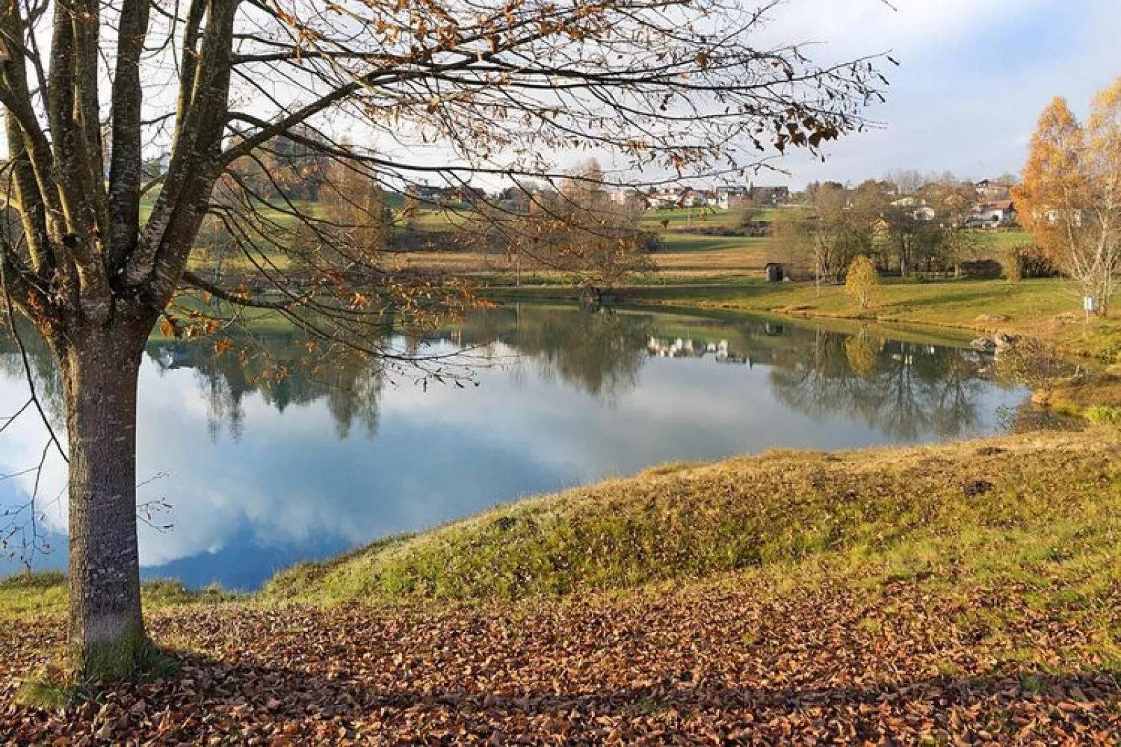 Holiday resort Bäckerwiese Neuschönau-Wohnung OG mit Balkon-Waterzicht