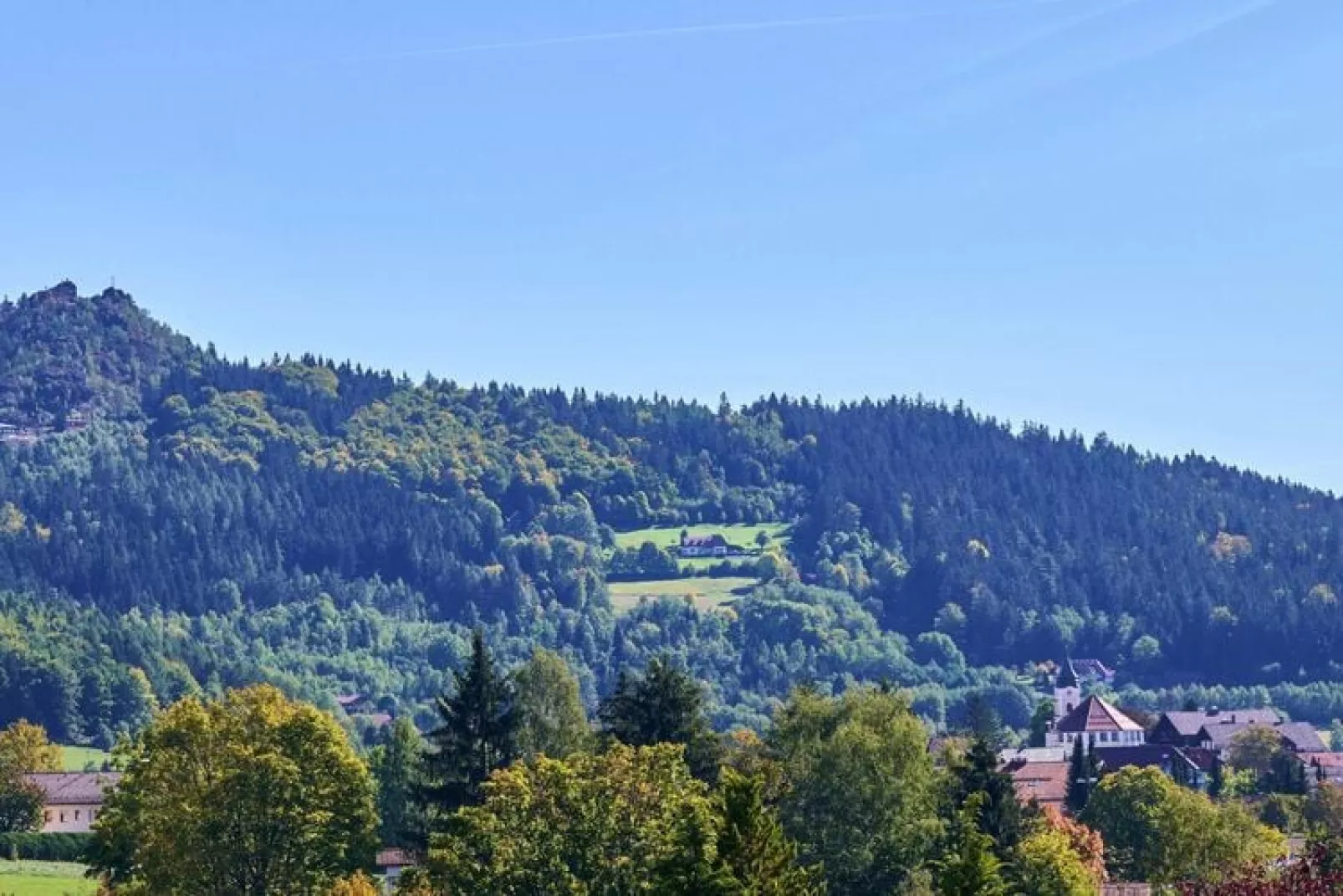 Bodenmais-3 Personen 50 qm-Uitzicht zomer