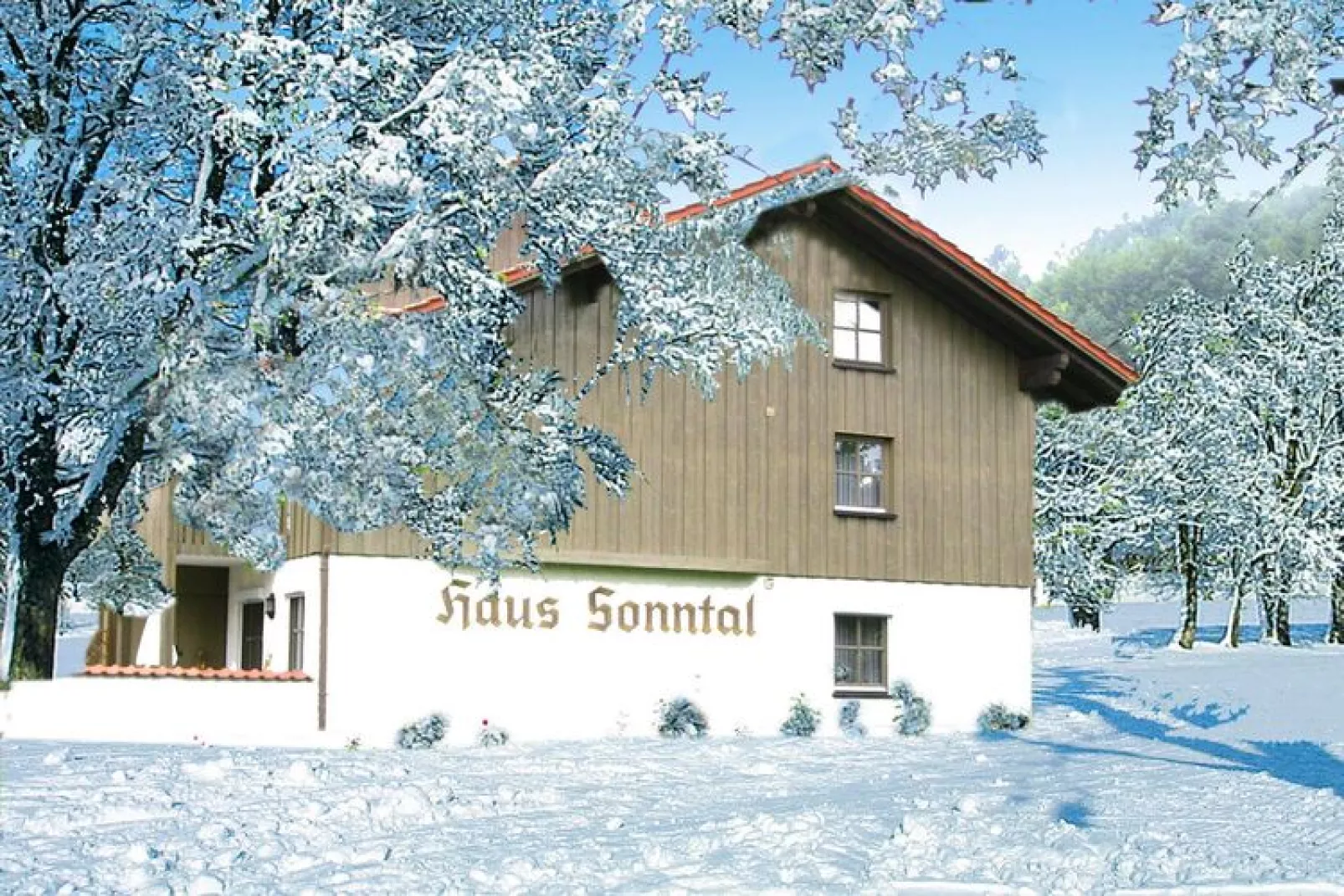 Apartments home Sonntal, Bodenmais-3-Raum-App. im Haus Sonntal, 78 qm-Exterieur winter