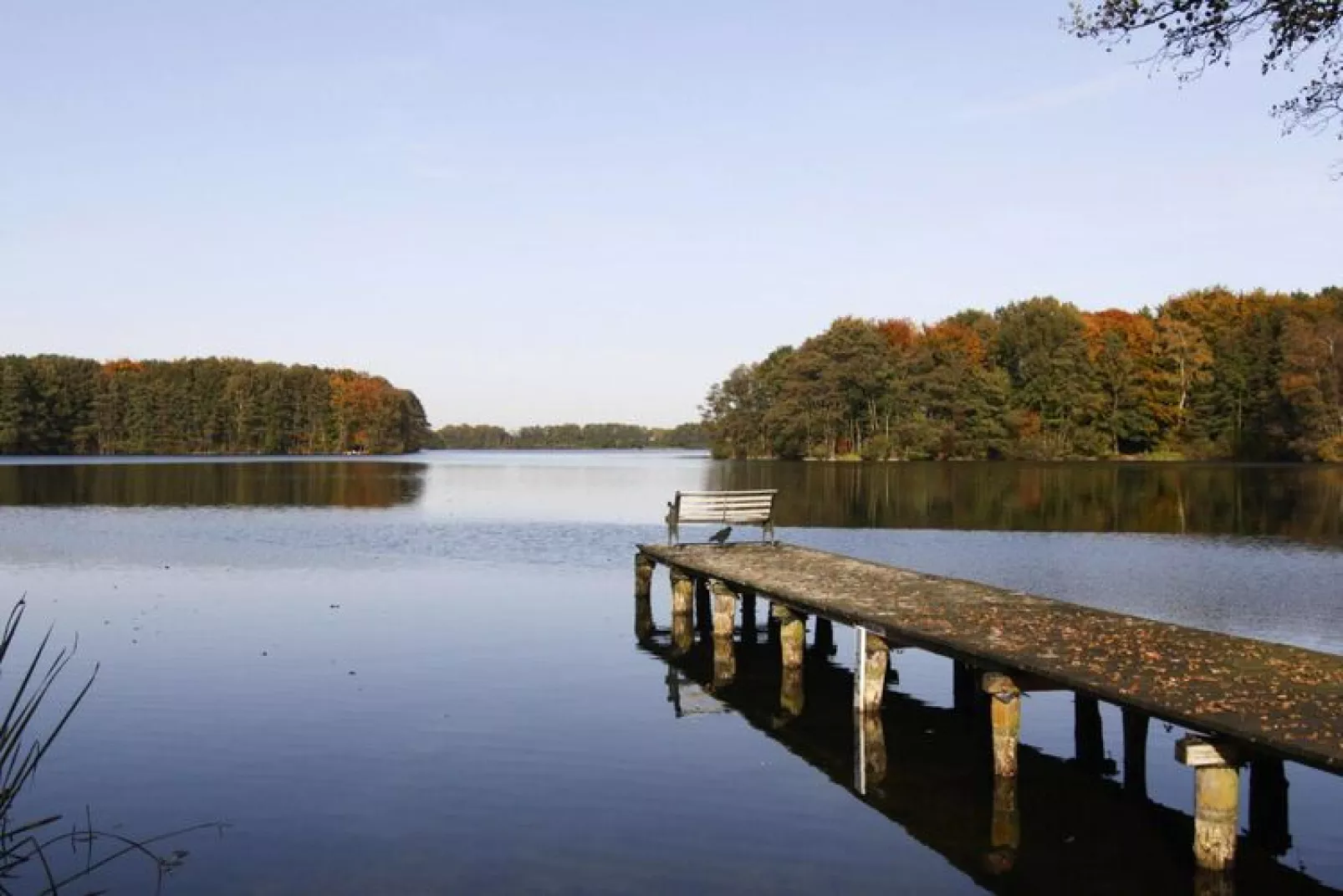 Ferienhaus Larsson-Gebieden zomer 1km