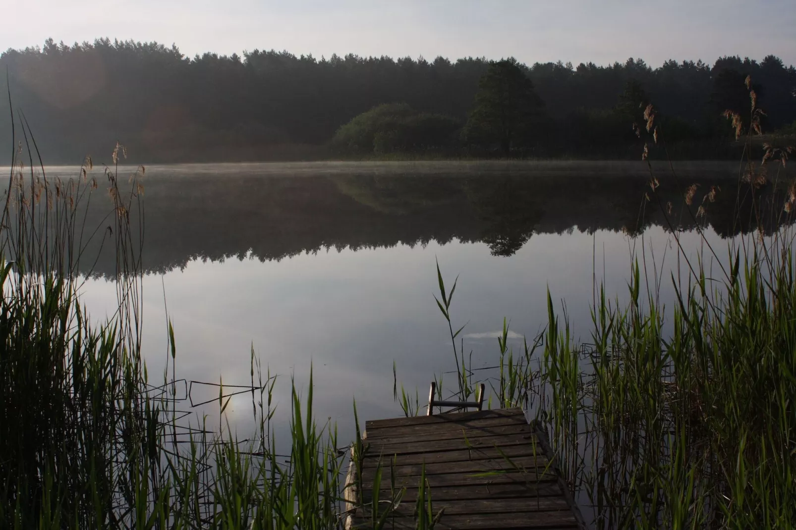 Reihenhaus Rotkehlchen-Gebieden zomer 1km