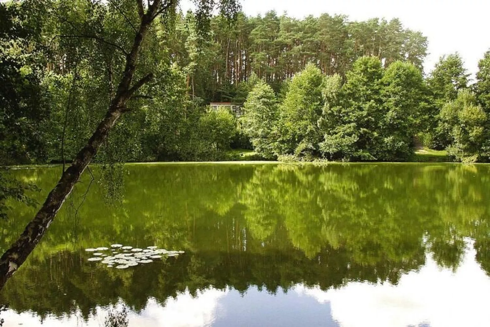 Feriensiedlung Am Grundlossee / DHH Typ 1 40 qm 4 Pers-Tuinen zomer