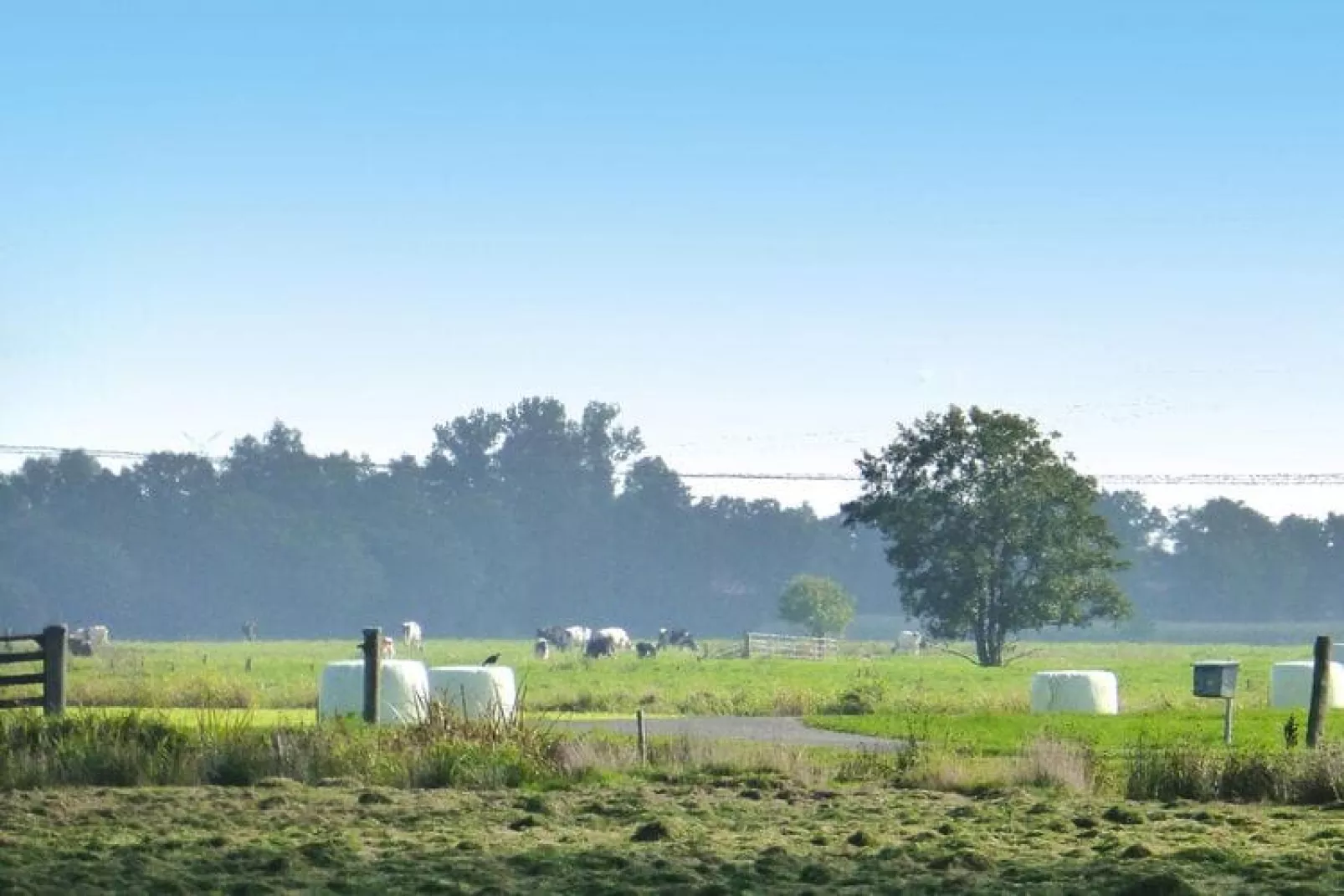 Ferienwohnung Tossens-Buitenkant zomer