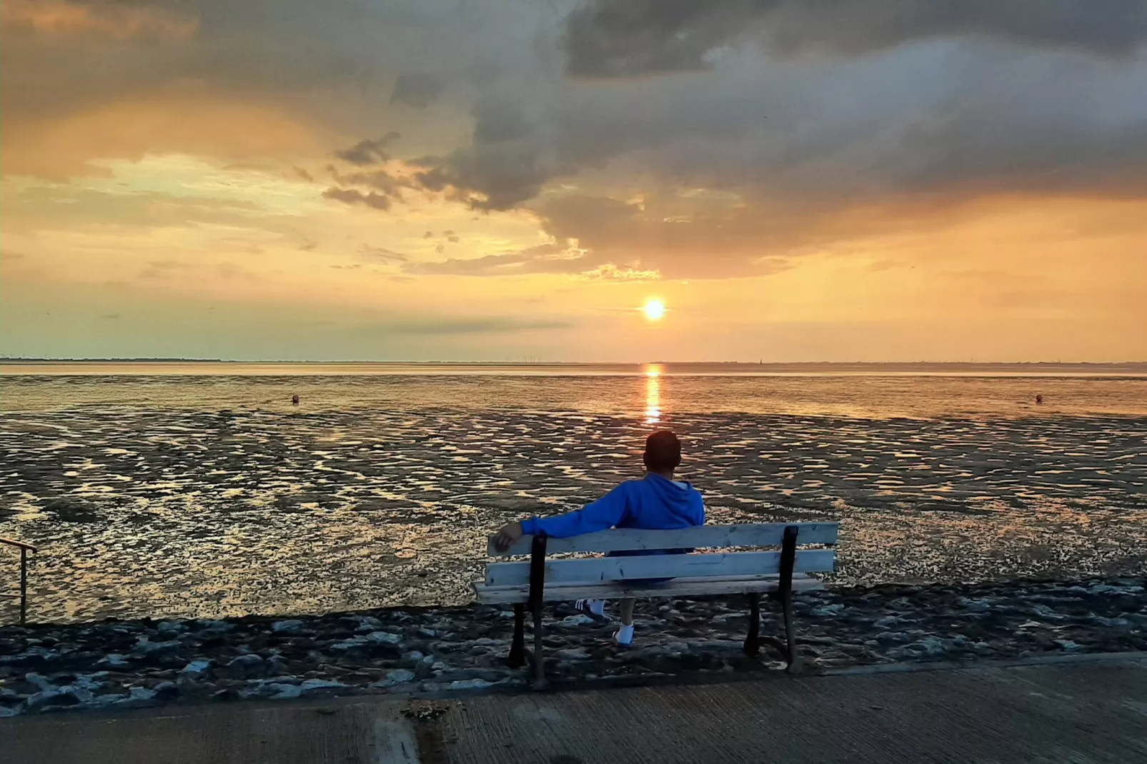 Ferienwohnung Dangast-Gebieden zomer 1km