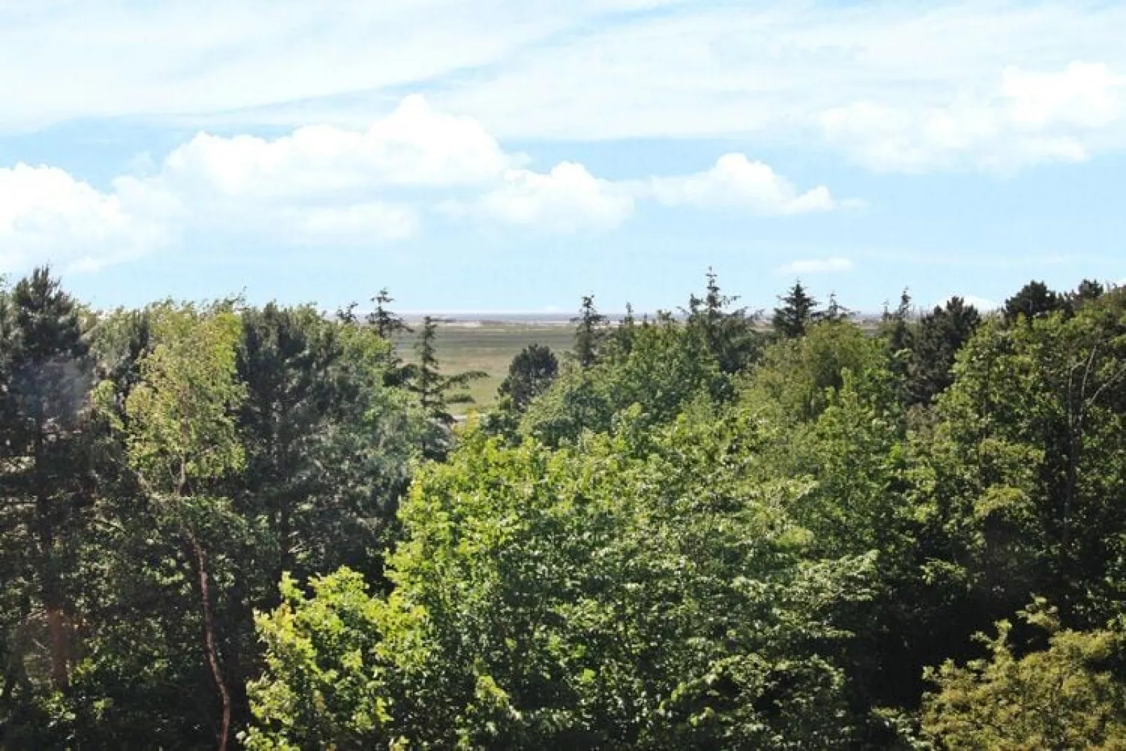 Ferienwohnung Nordseeblick in St Peter-Ording-Buitenkant zomer