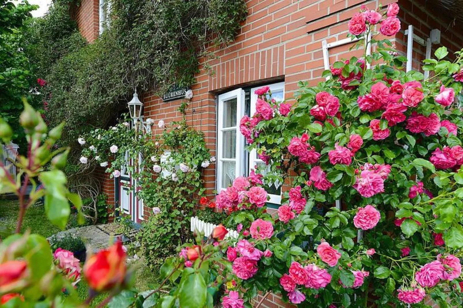 Ferienwohnung in  Oevenum auf Föhr - Wohnung 3-Tuinen zomer