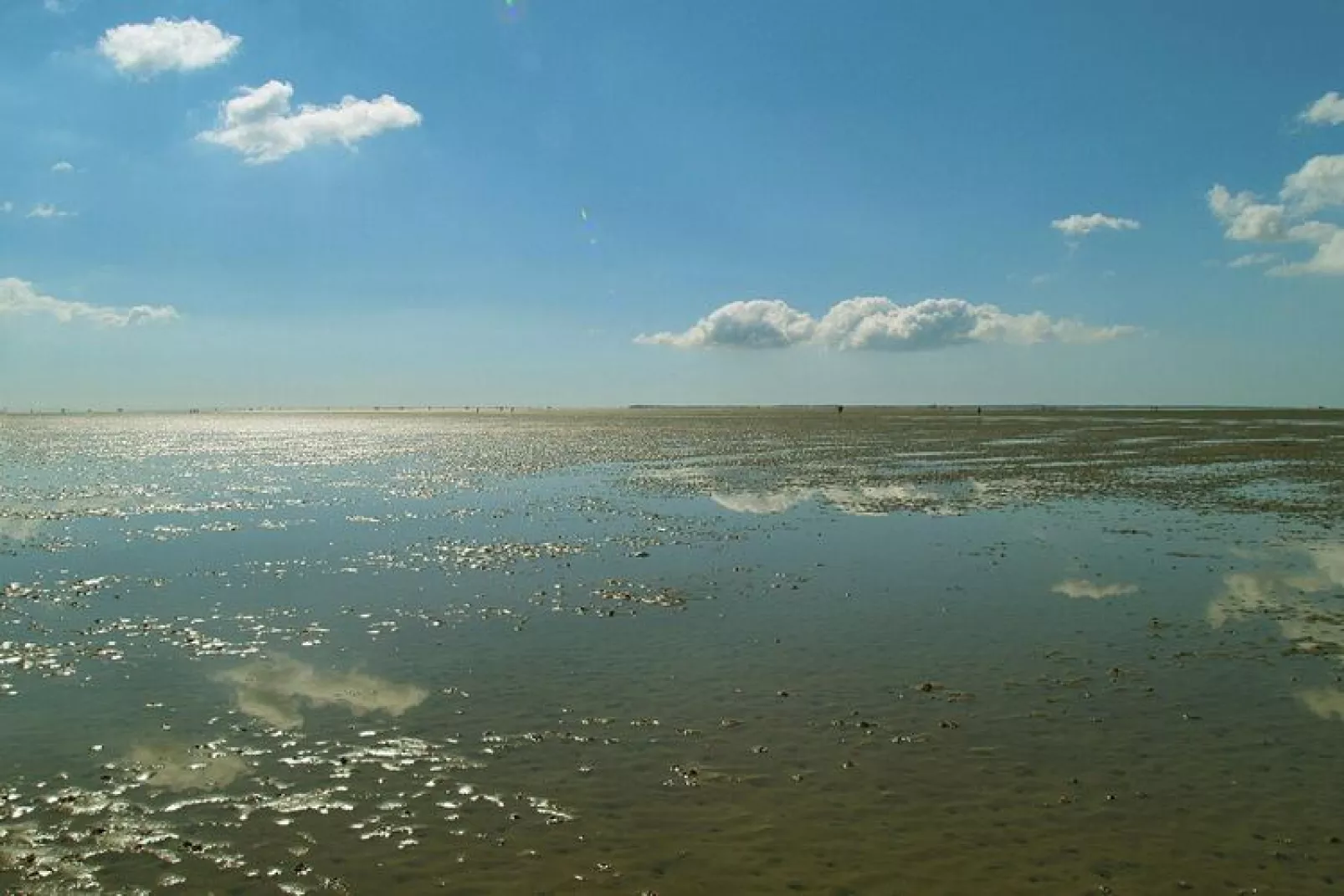 Ferienwohnung in Wyk auf Föhr - LaMer Whg 3-Waterzicht