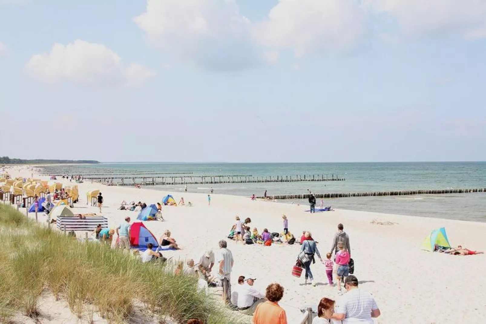 Ferienhaus in Boiensdorf 5 Personen-Gebieden zomer 5km