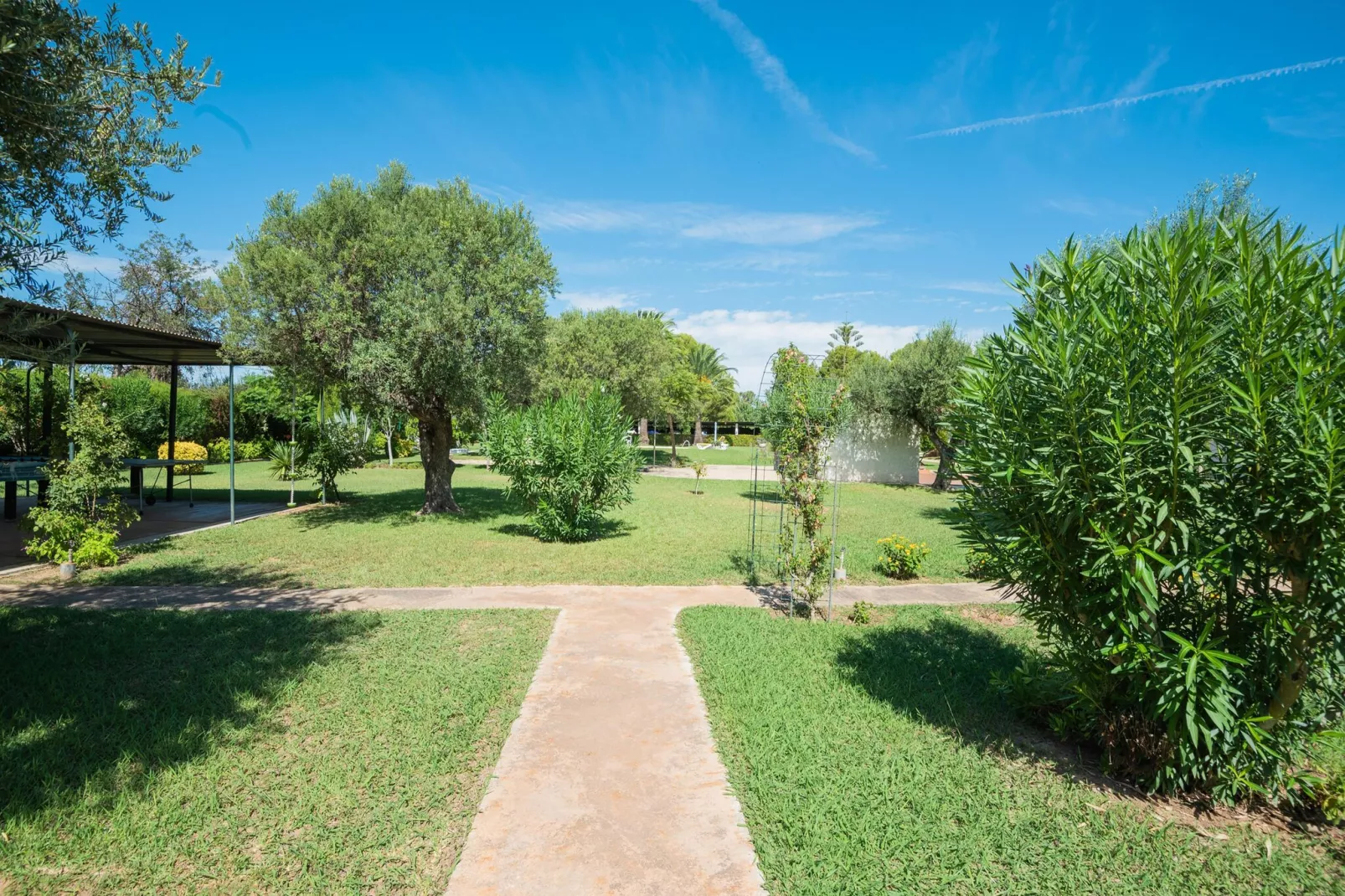 Bungalow Park Colibrí-Tuinen zomer