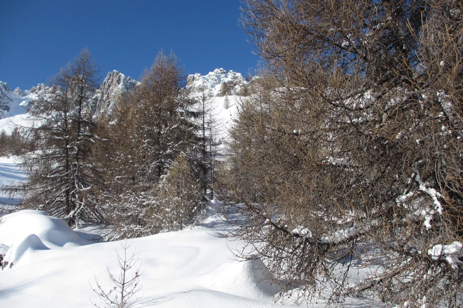 Chalet de montagne-Gebied winter 1km