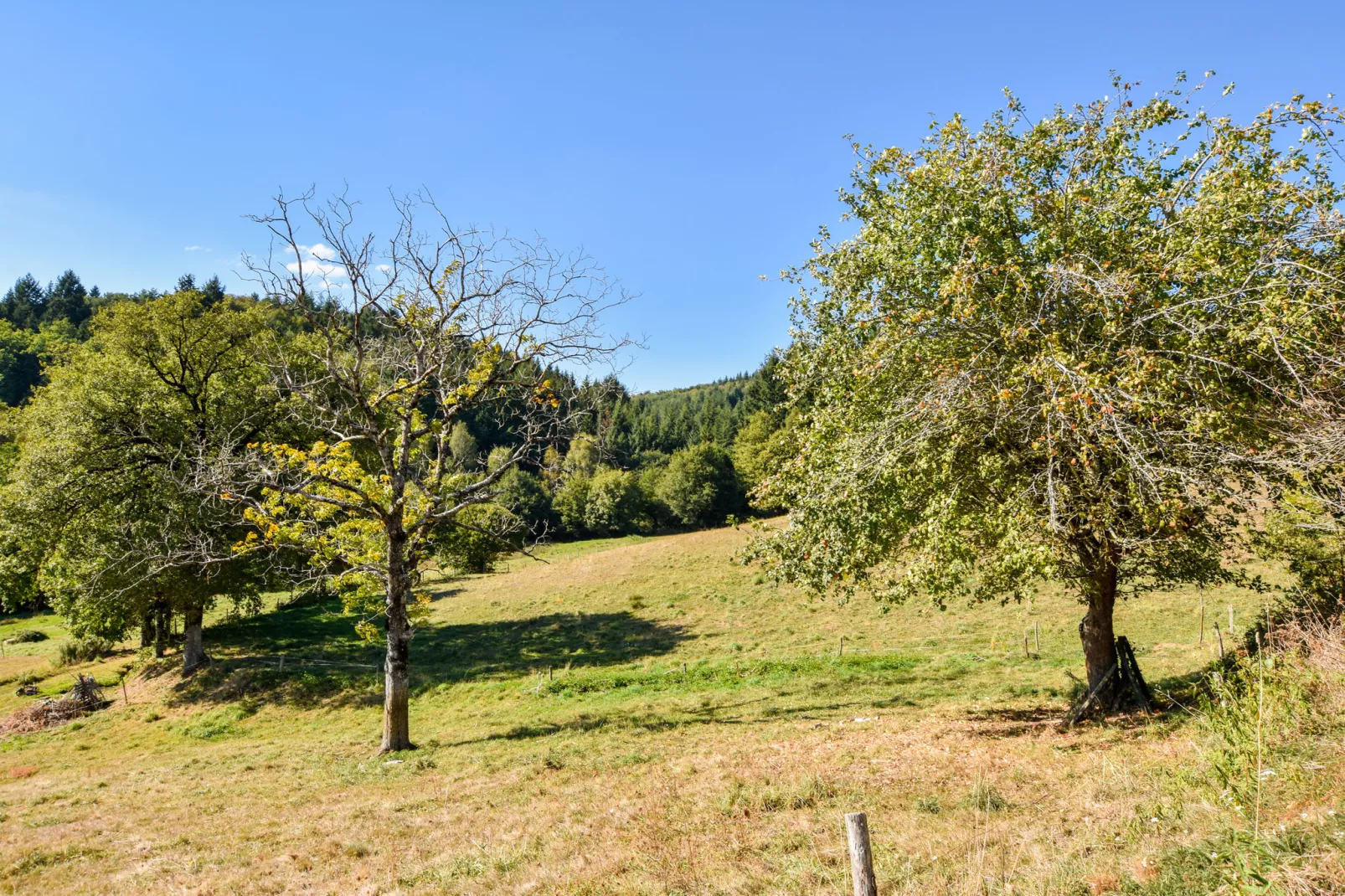 Authentique maison auvergnate-Uitzicht zomer