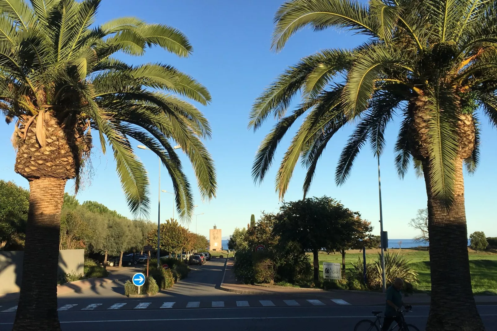 Turquoise-Gebieden zomer 1km