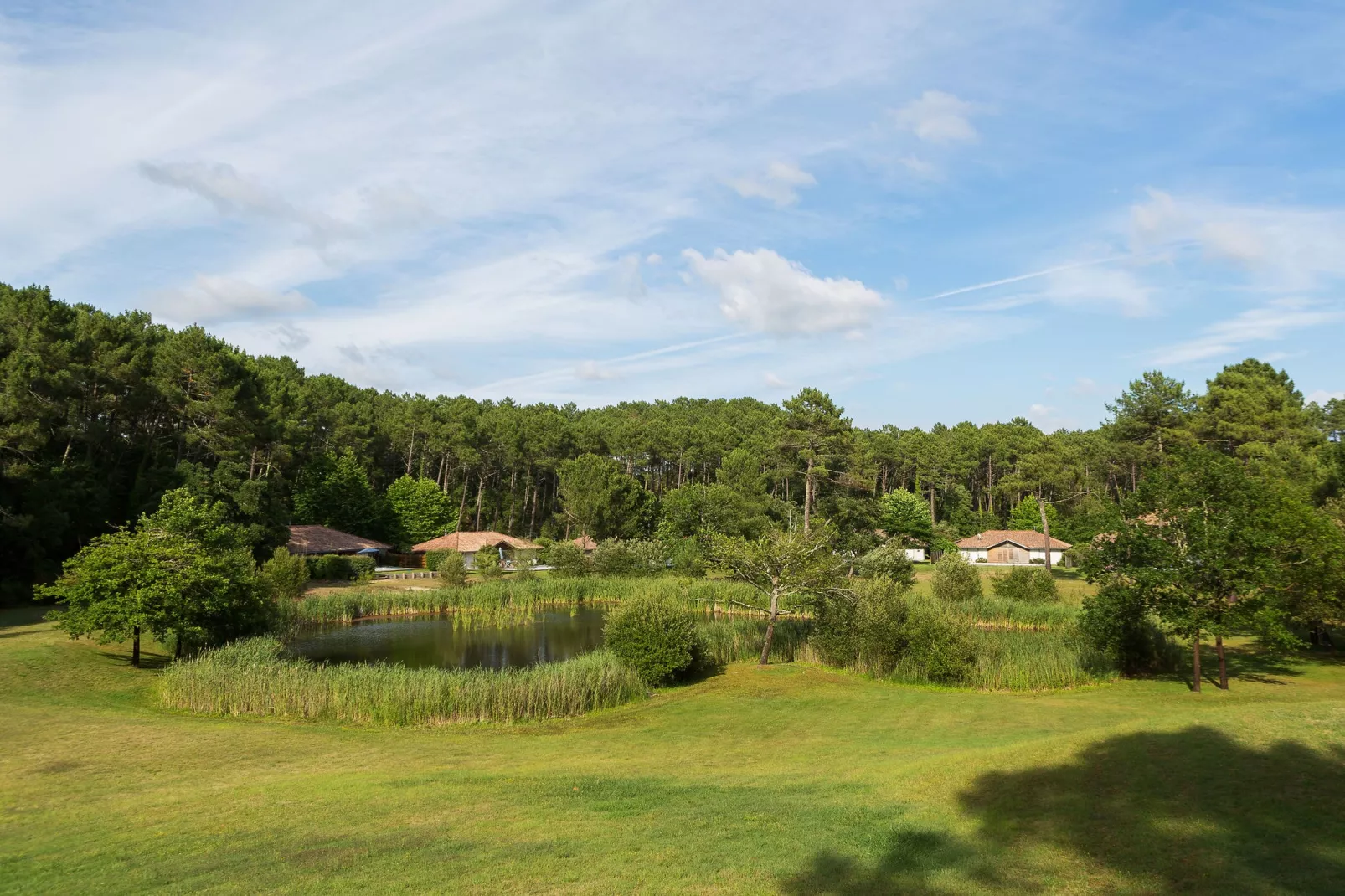 Villas Clairière aux Chevreuils 2-Gebieden zomer 1km