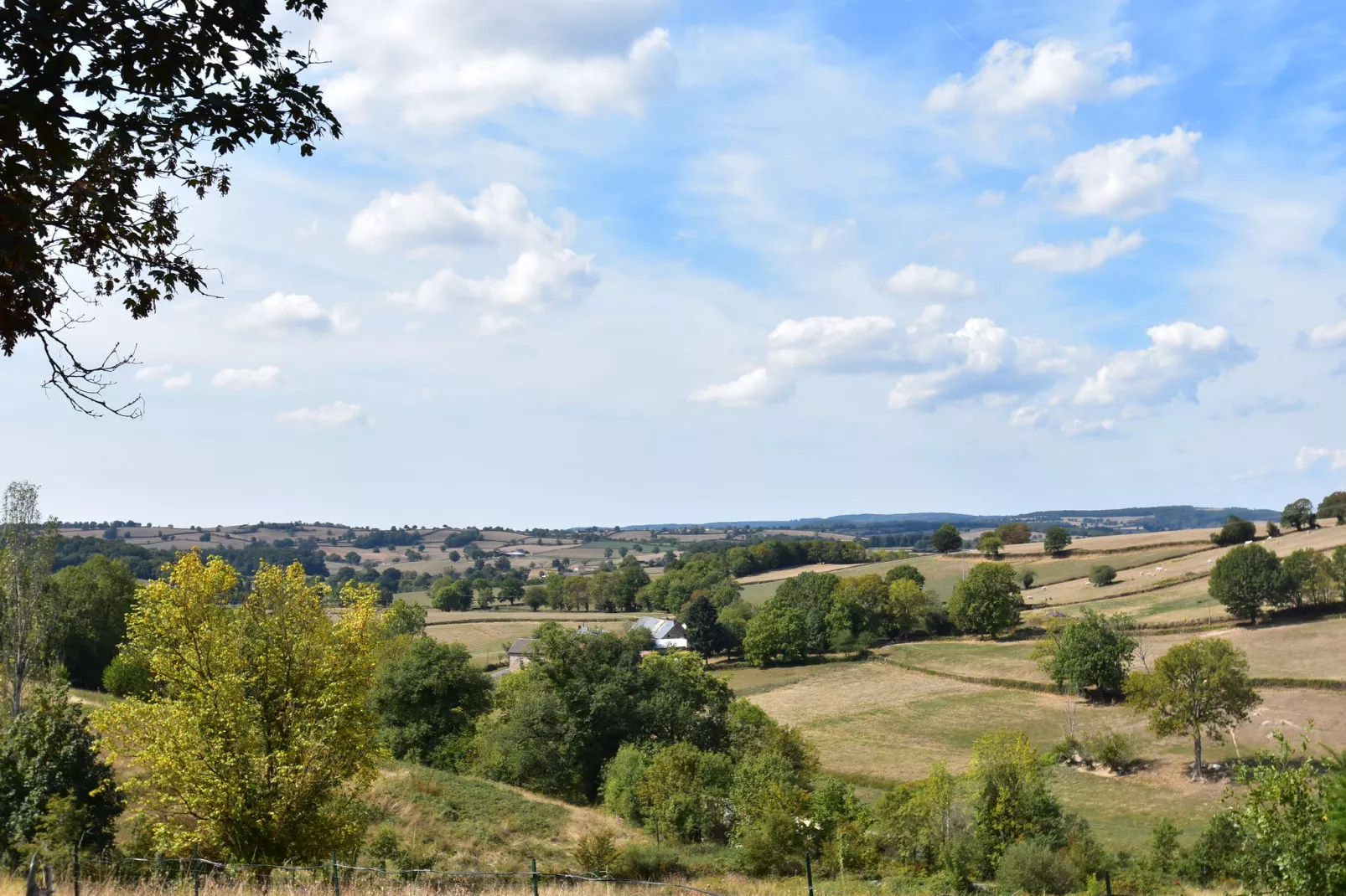 Gite 6 pers Bellevue - Le-Chardonneret-Uitzicht zomer