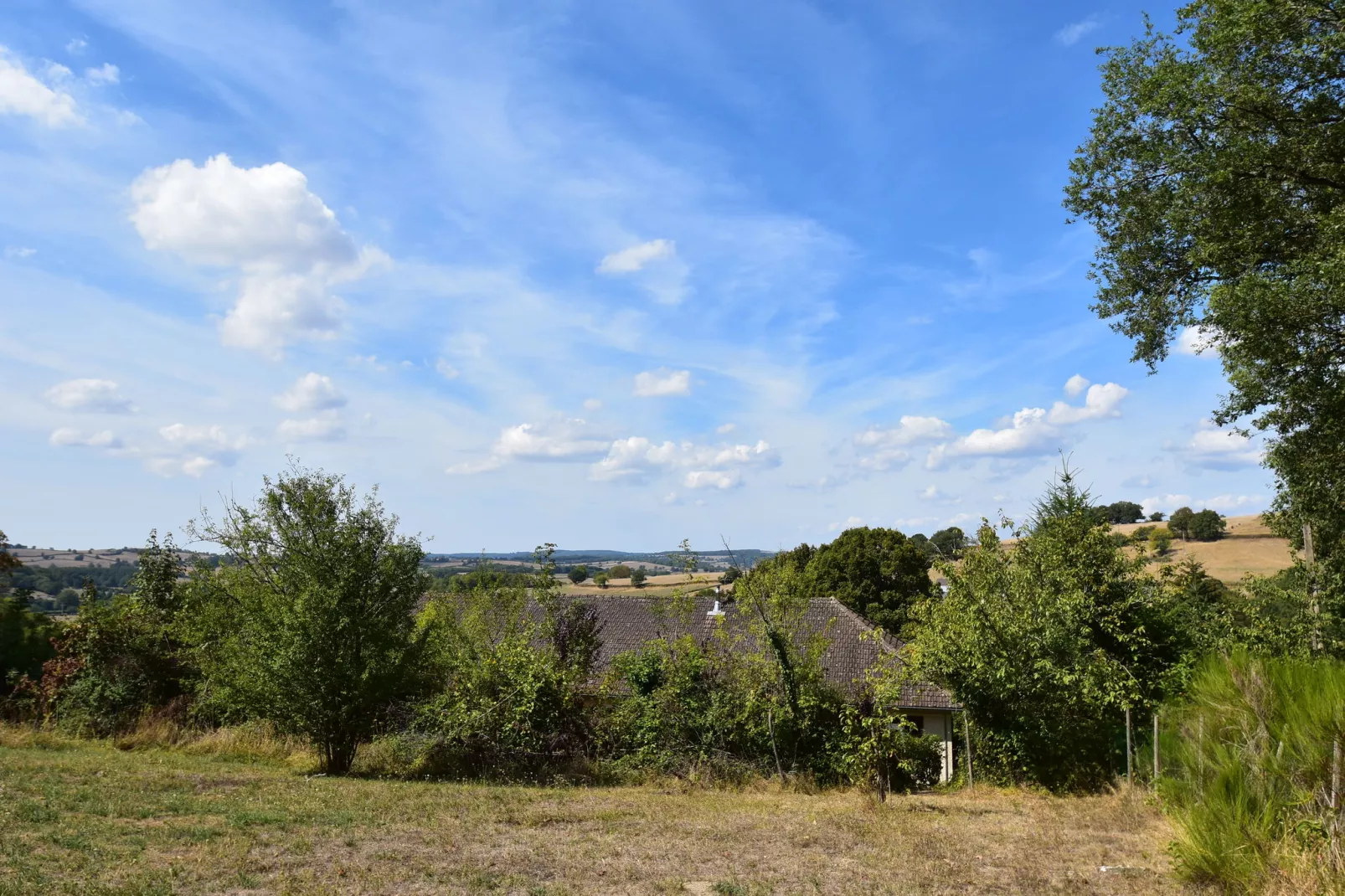 Gite 6 pers Bellevue - Le-Chardonneret-Tuinen zomer