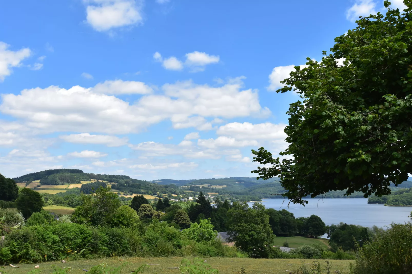 Gite 6 pers Bellevue - Le-Chardonneret-Gebieden zomer 20km