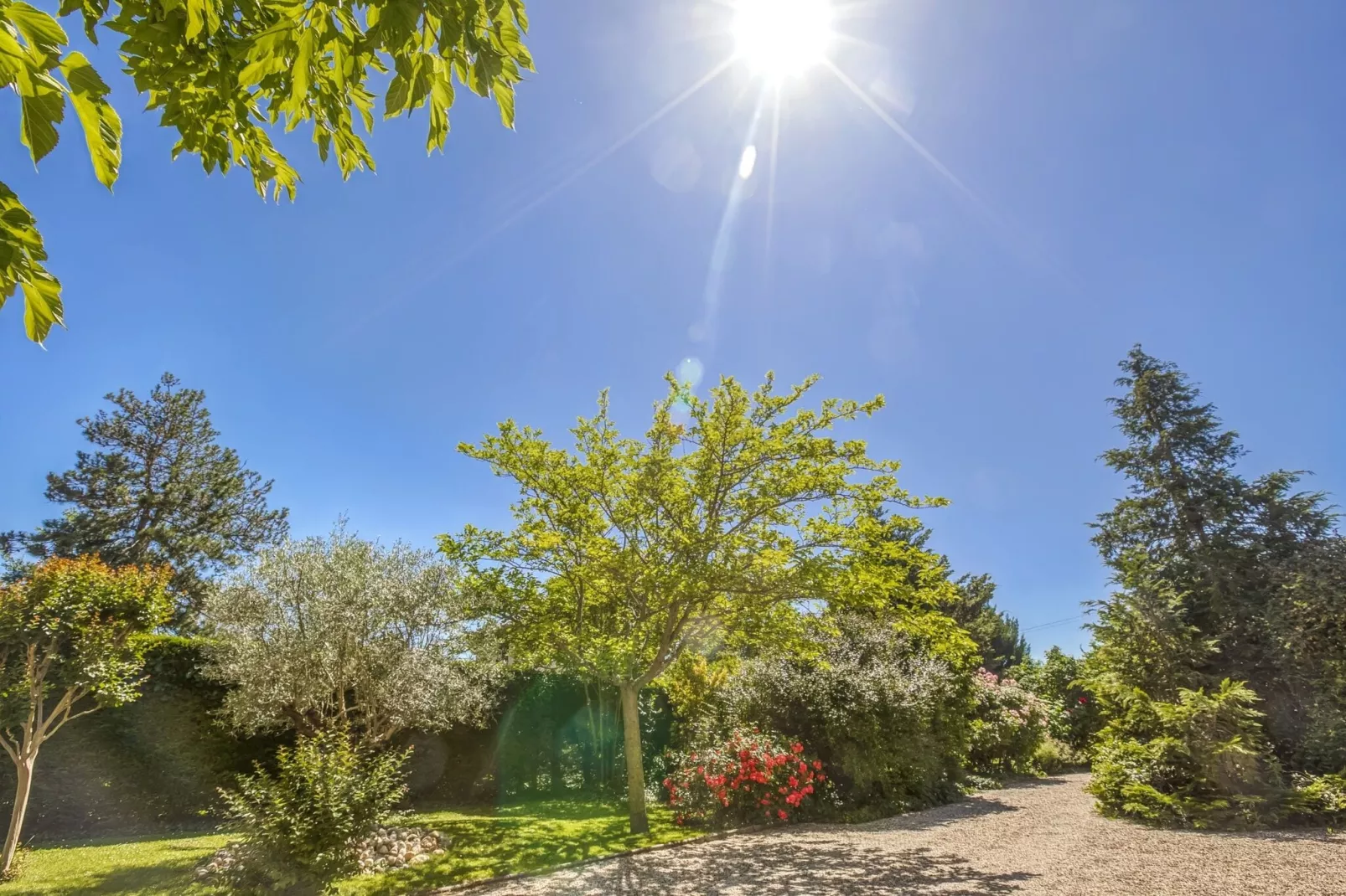 Maison de vacances - BARRY D'ISLEMADE-Gebieden zomer 1km