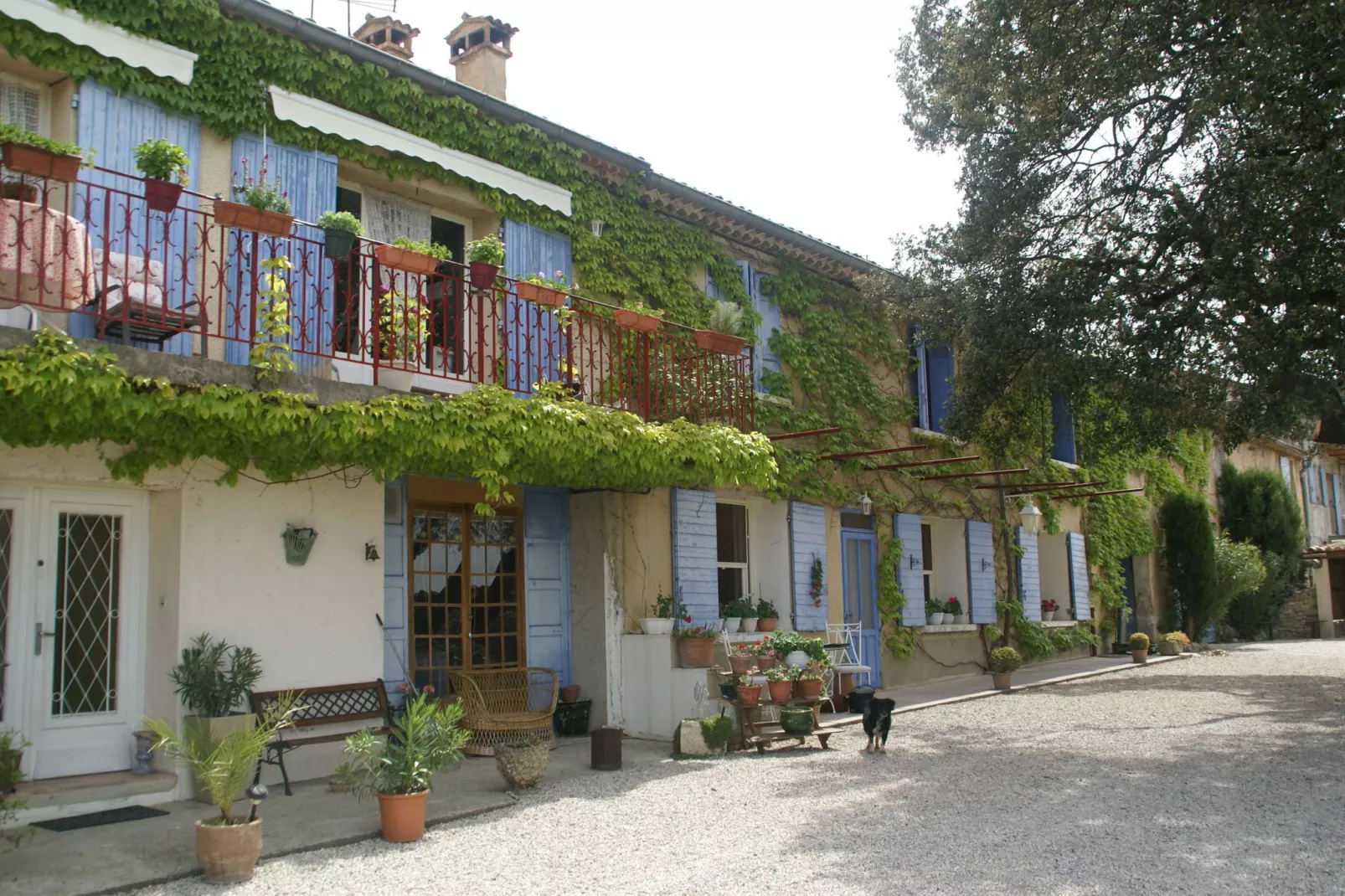 Maison de vacances Pertuis-Buitenkant zomer