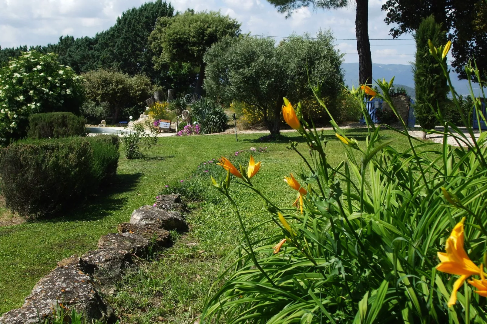 Maison de vacances Pertuis-Tuinen zomer