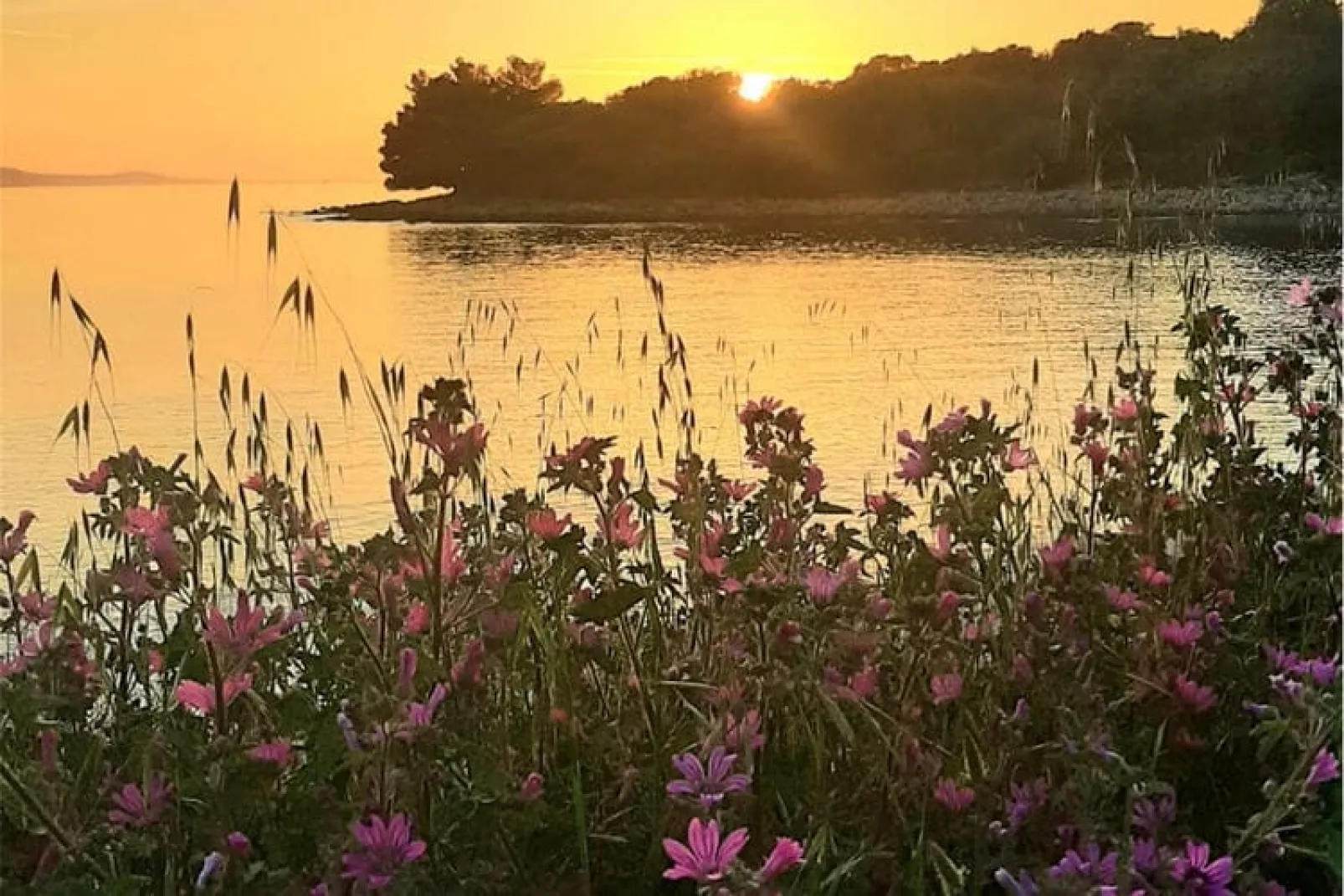 Casa Lorela in Sali Dugi Otok 4 Personen 65 qm-Waterzicht