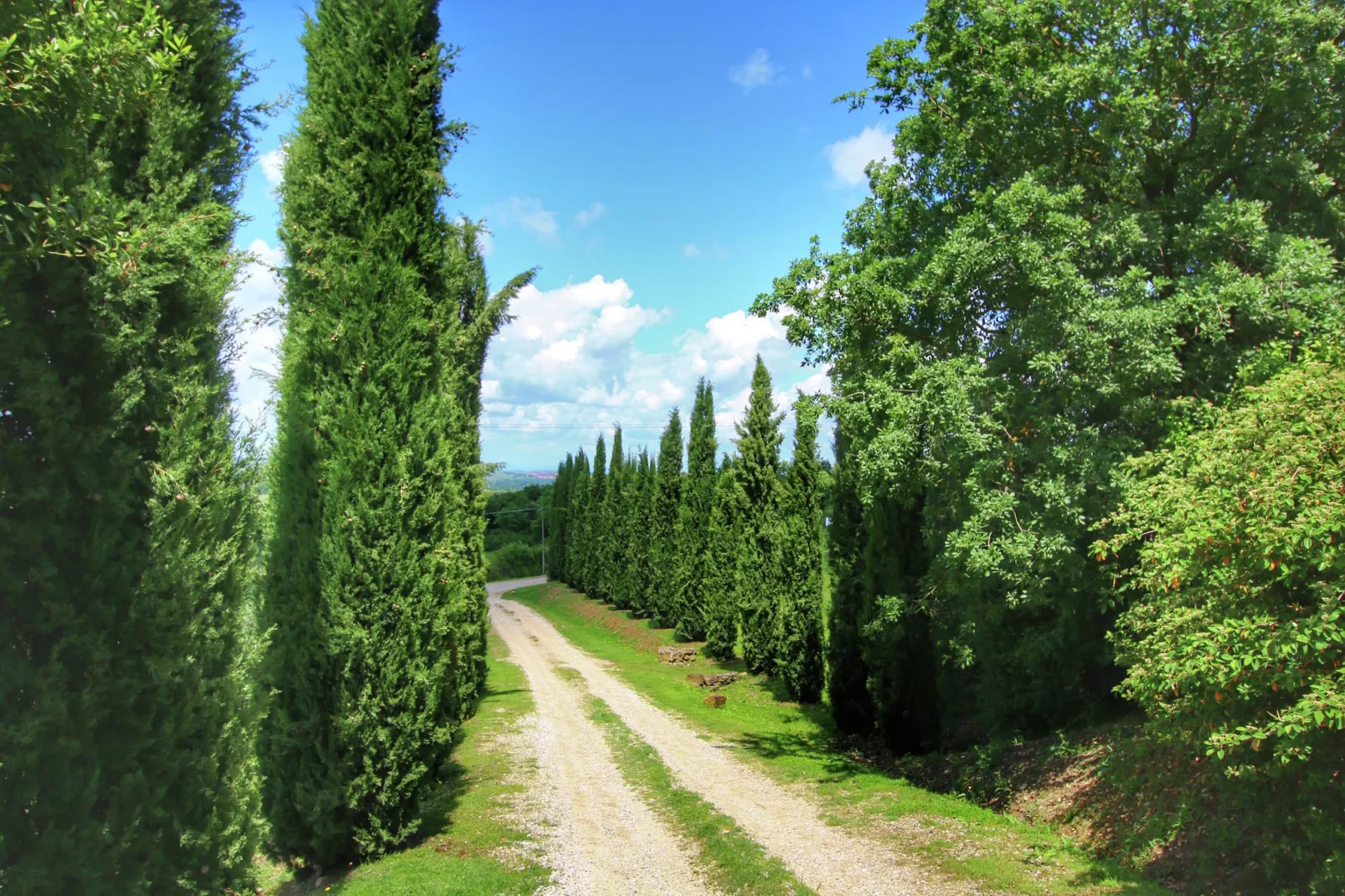 Casa Tiglio-Gebieden zomer 1km