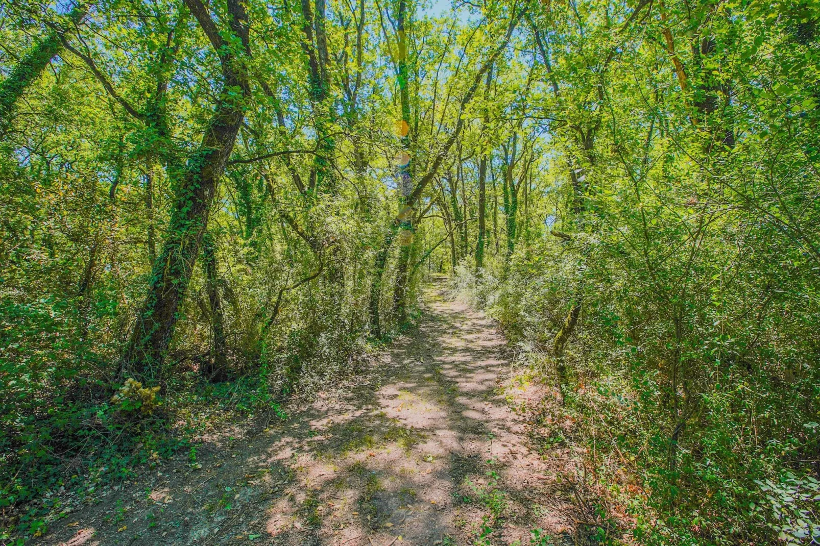 Appartamento la Rana-Gebieden zomer 1km