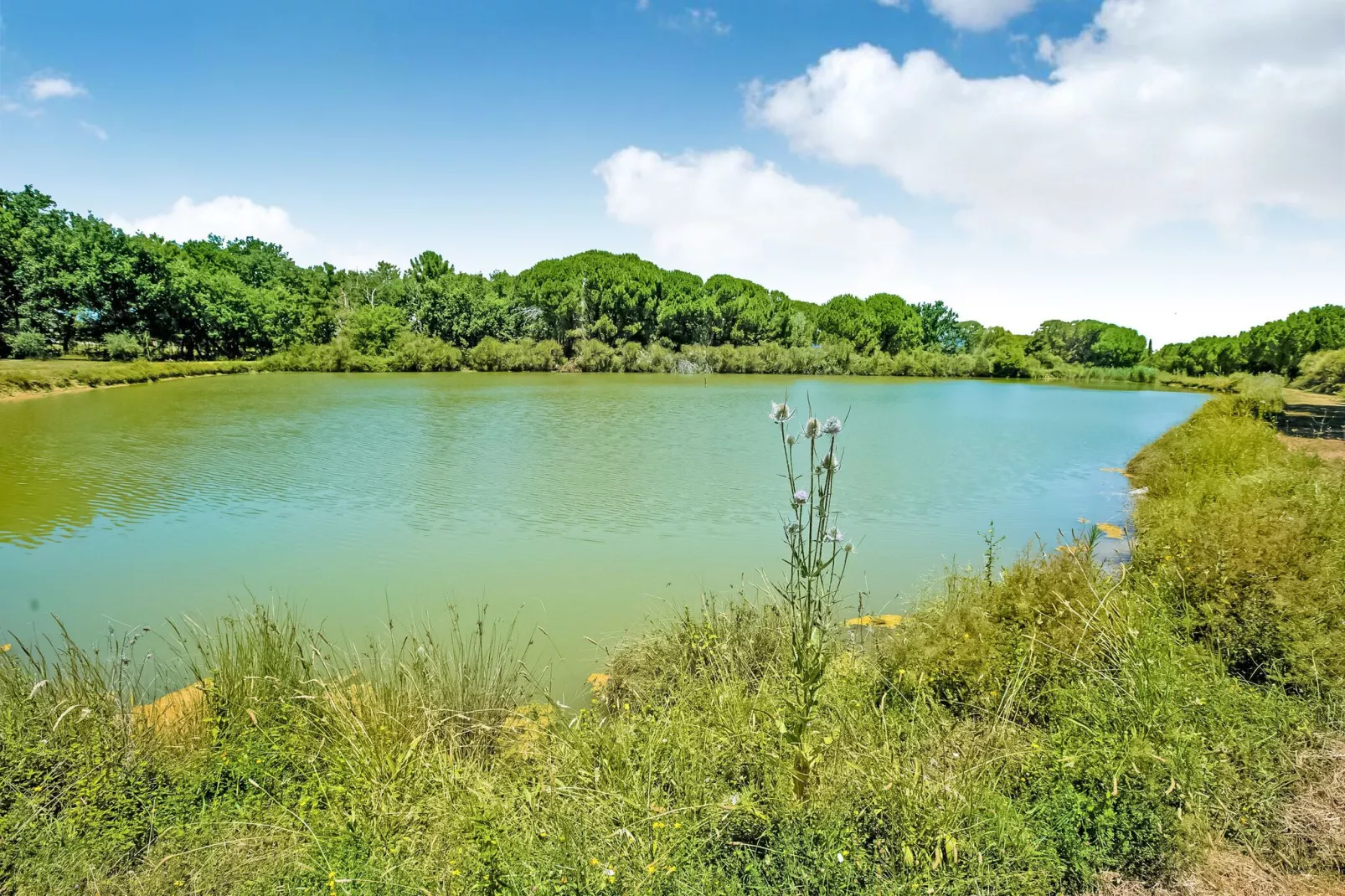 Appartamento il Gufo-Gebieden zomer 5km