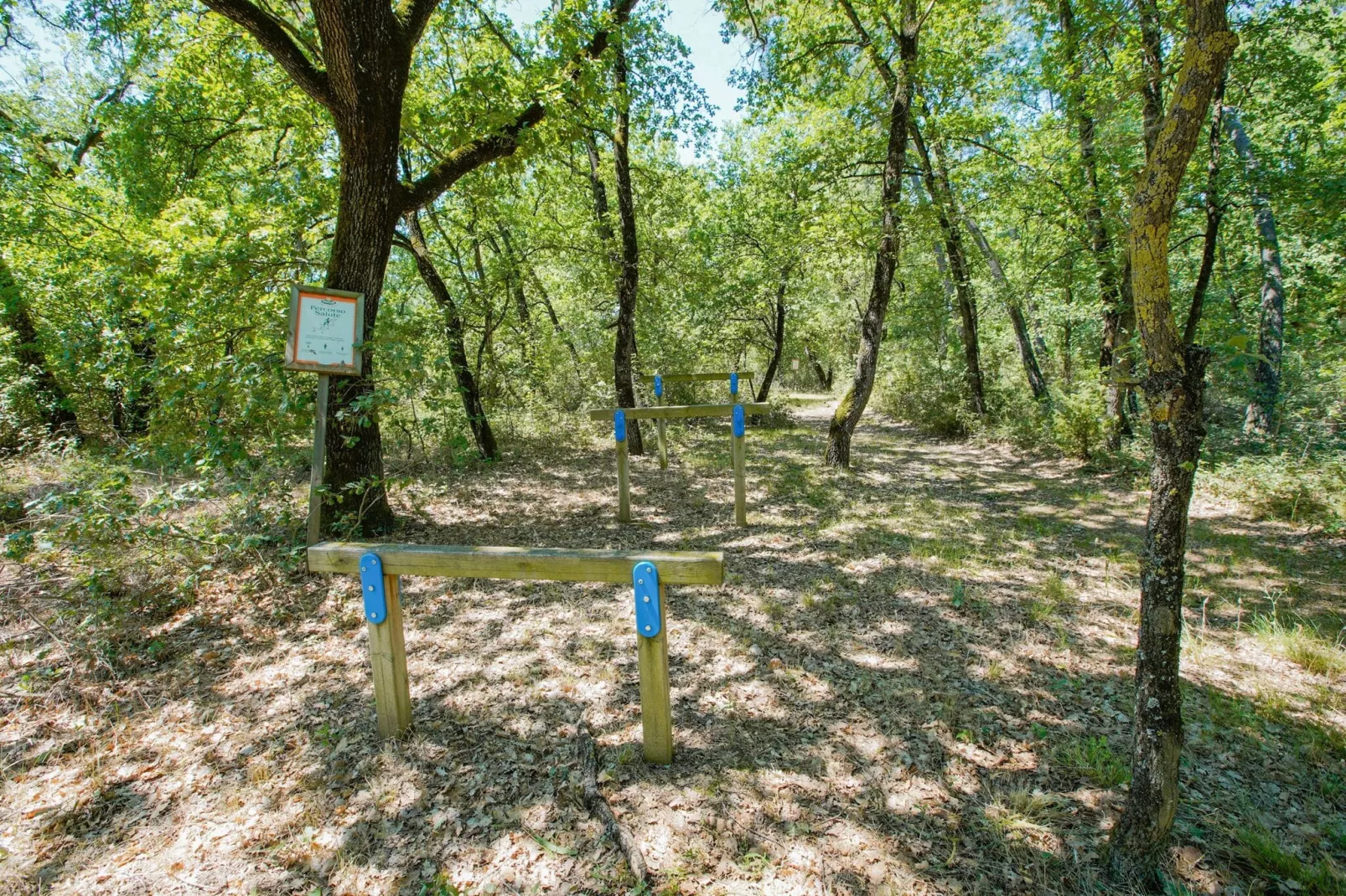 Appartamento lo Scoiattolo-Gebieden zomer 1km