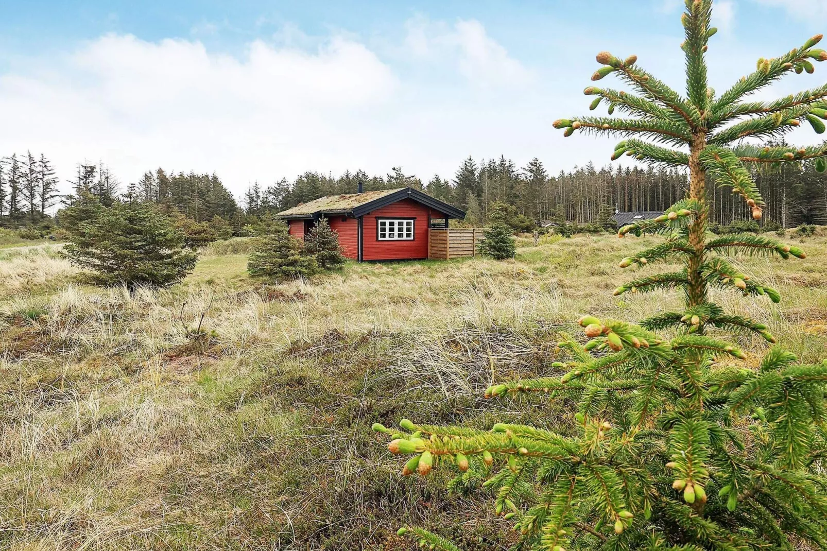 4 persoons vakantie huis in Løkken-Uitzicht