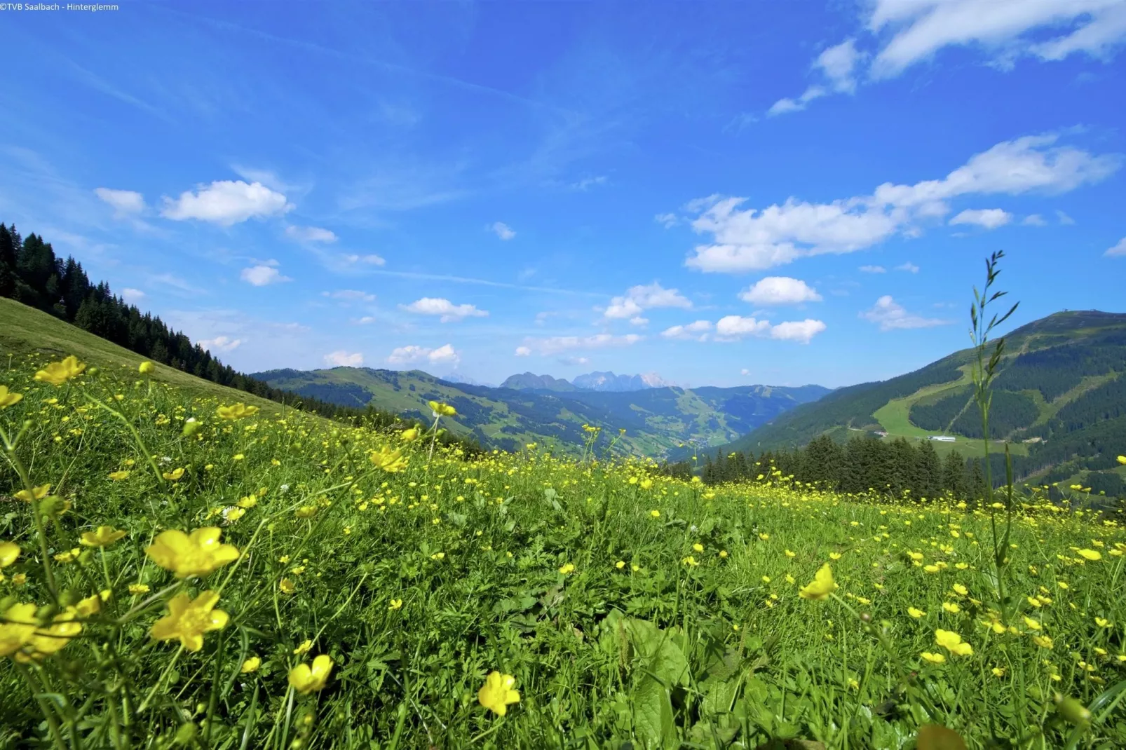 Luxe appartement in Saalbach-Hinterglemm nabij het skigebied-Gebieden zomer 5km