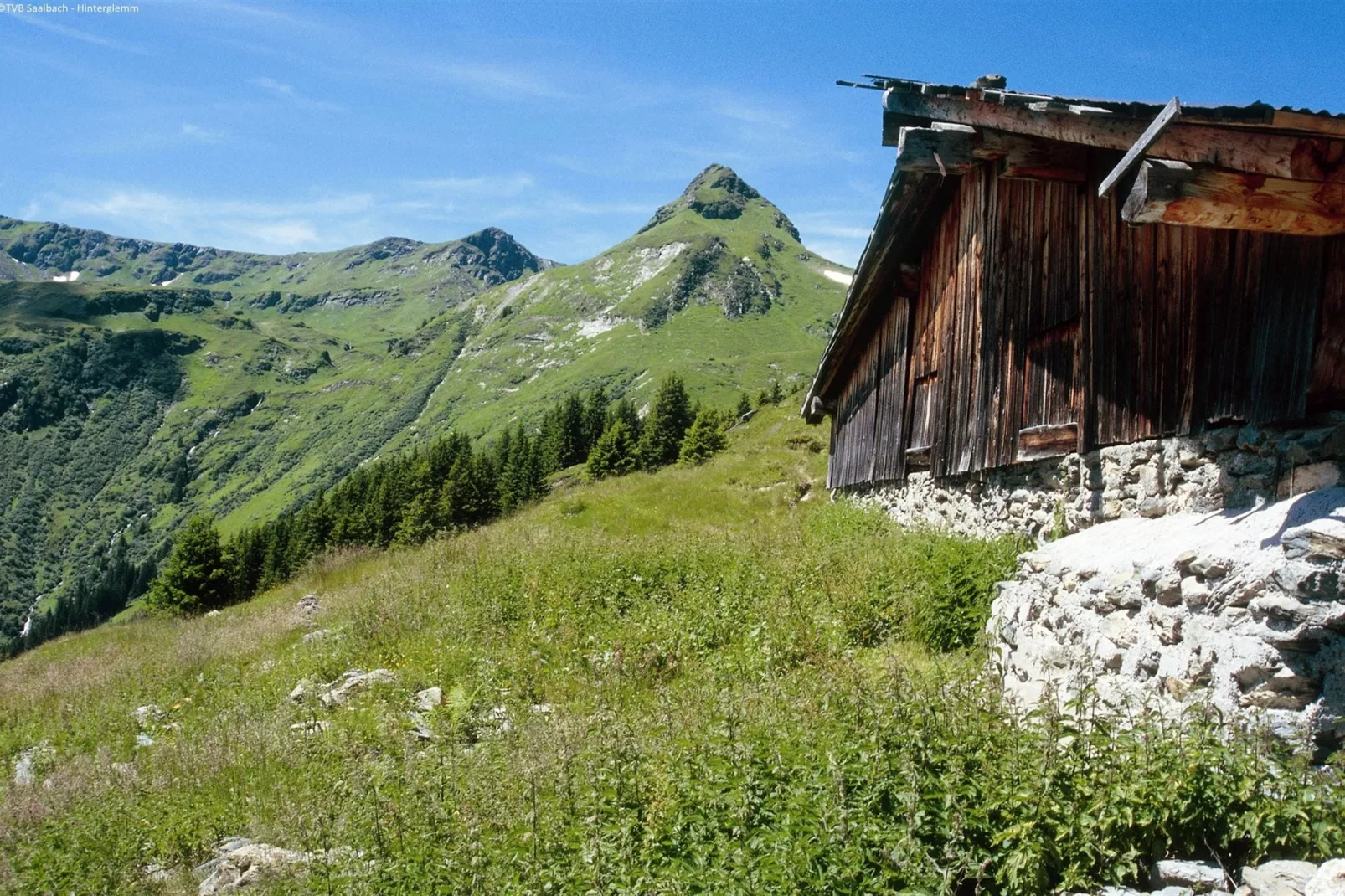 Luxe appartement in Saalbach-Hinterglemm nabij het skigebied-Gebieden zomer 5km