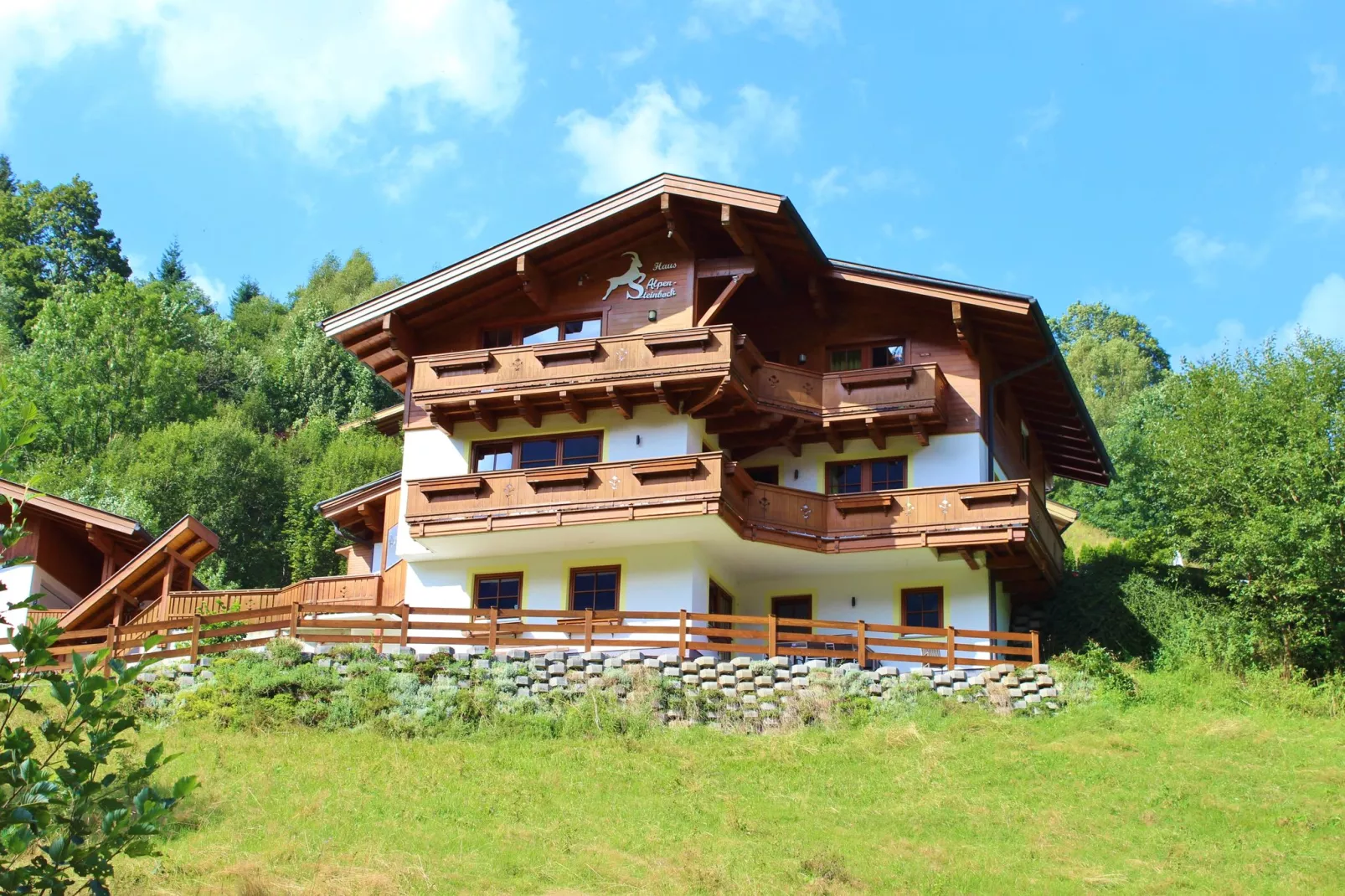 Stijlvol appartement in Salzburgerland met zonnig balkon-Buitenkant zomer