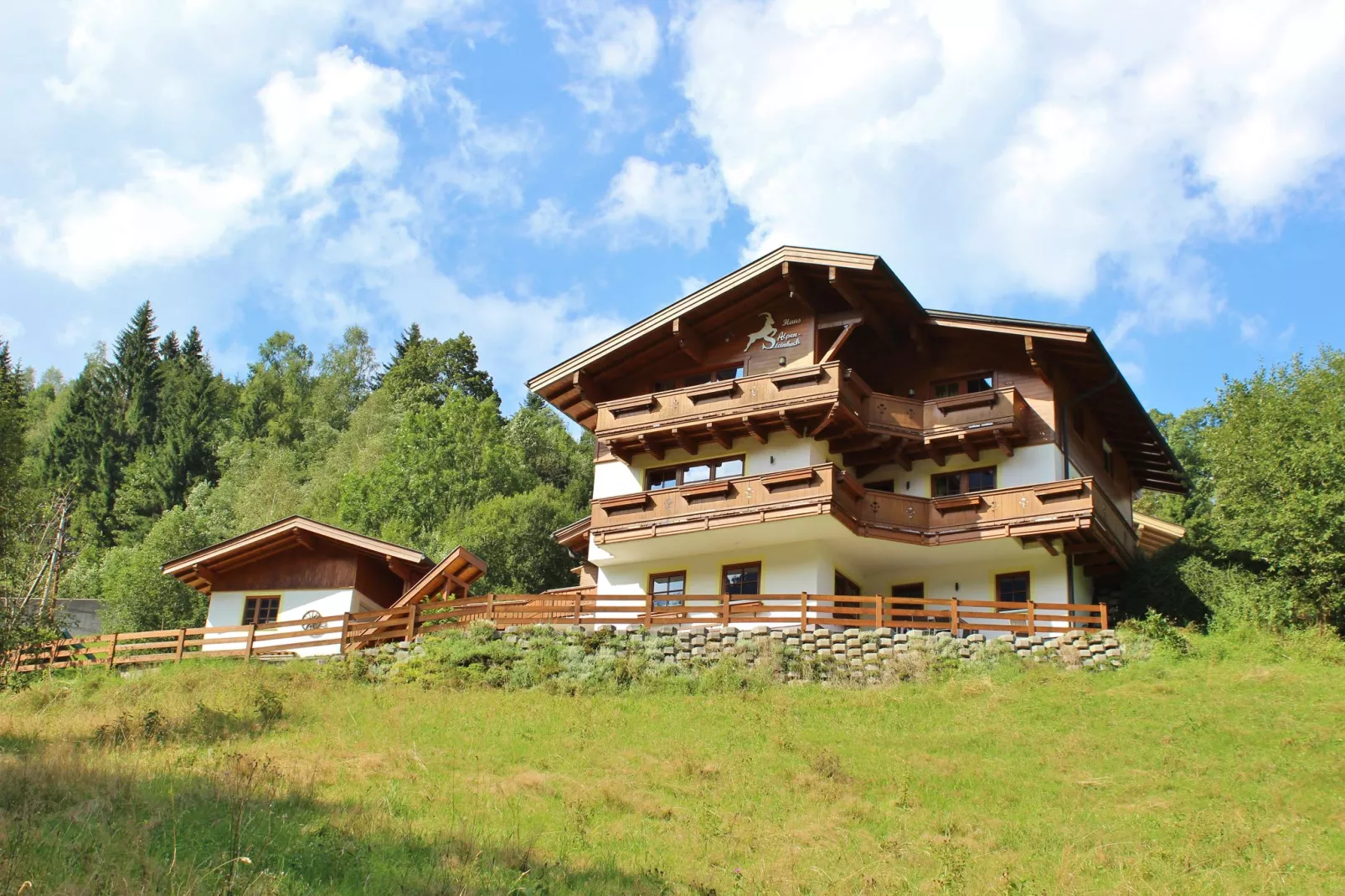 Stijlvol appartement in Salzburgerland met zonnig balkon-Buitenkant zomer